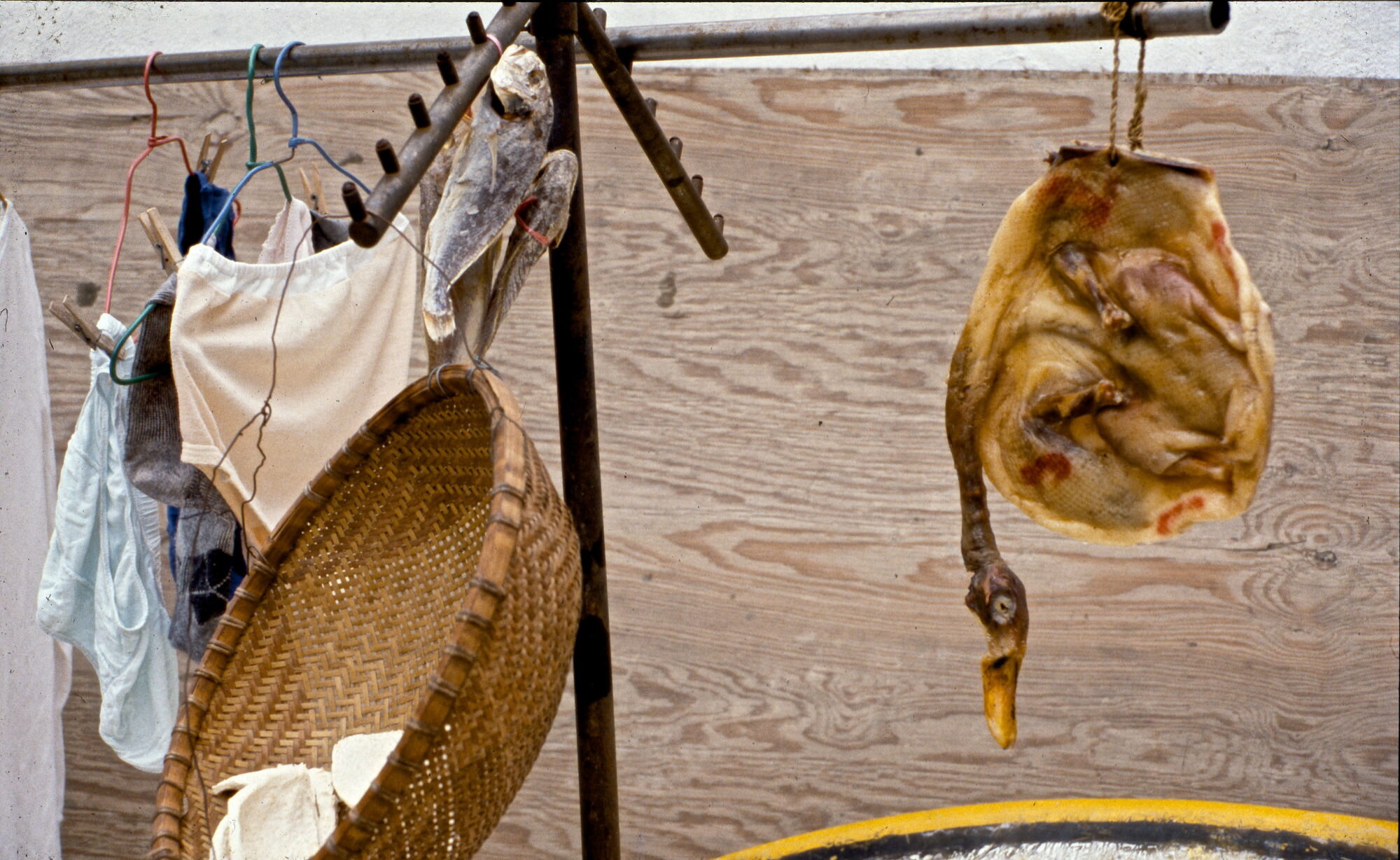 Duck, fish and underwear hung to dry. Guangdong, China.