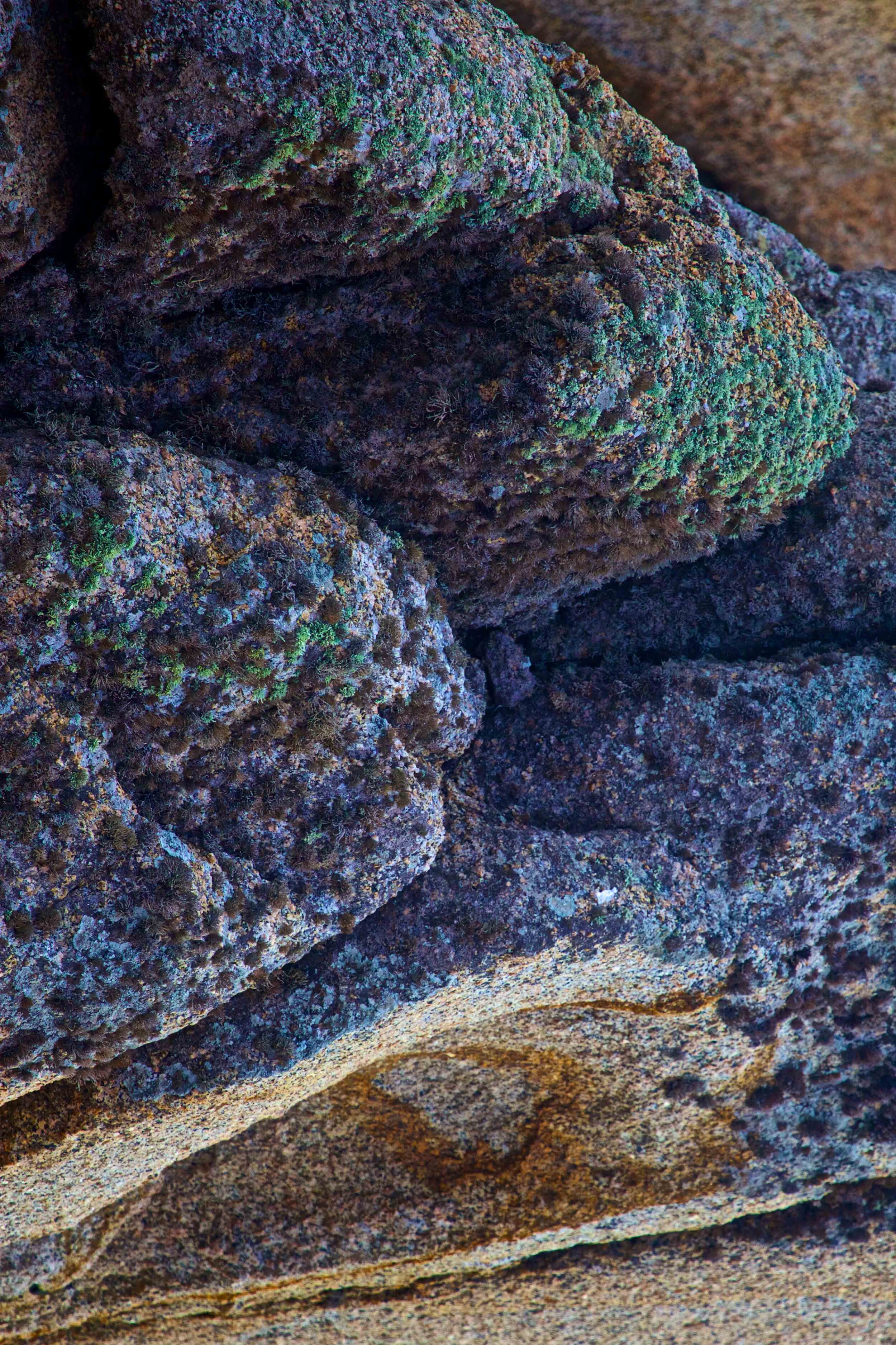 Stone sponges, stealthily draining the world of its colors.