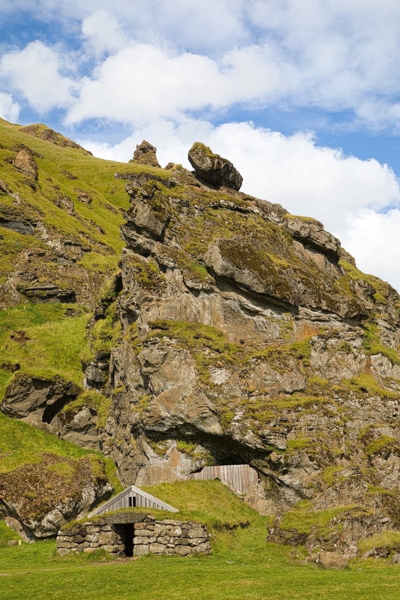 Rocks and grass on Iceland. 