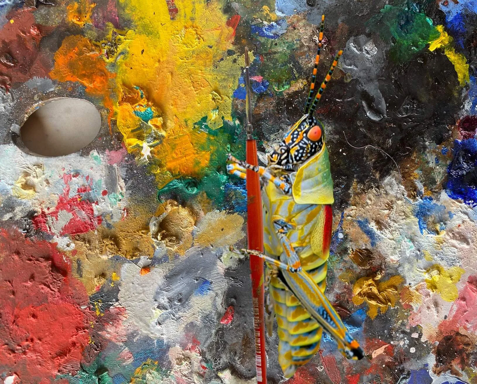 A colorful cricket match.