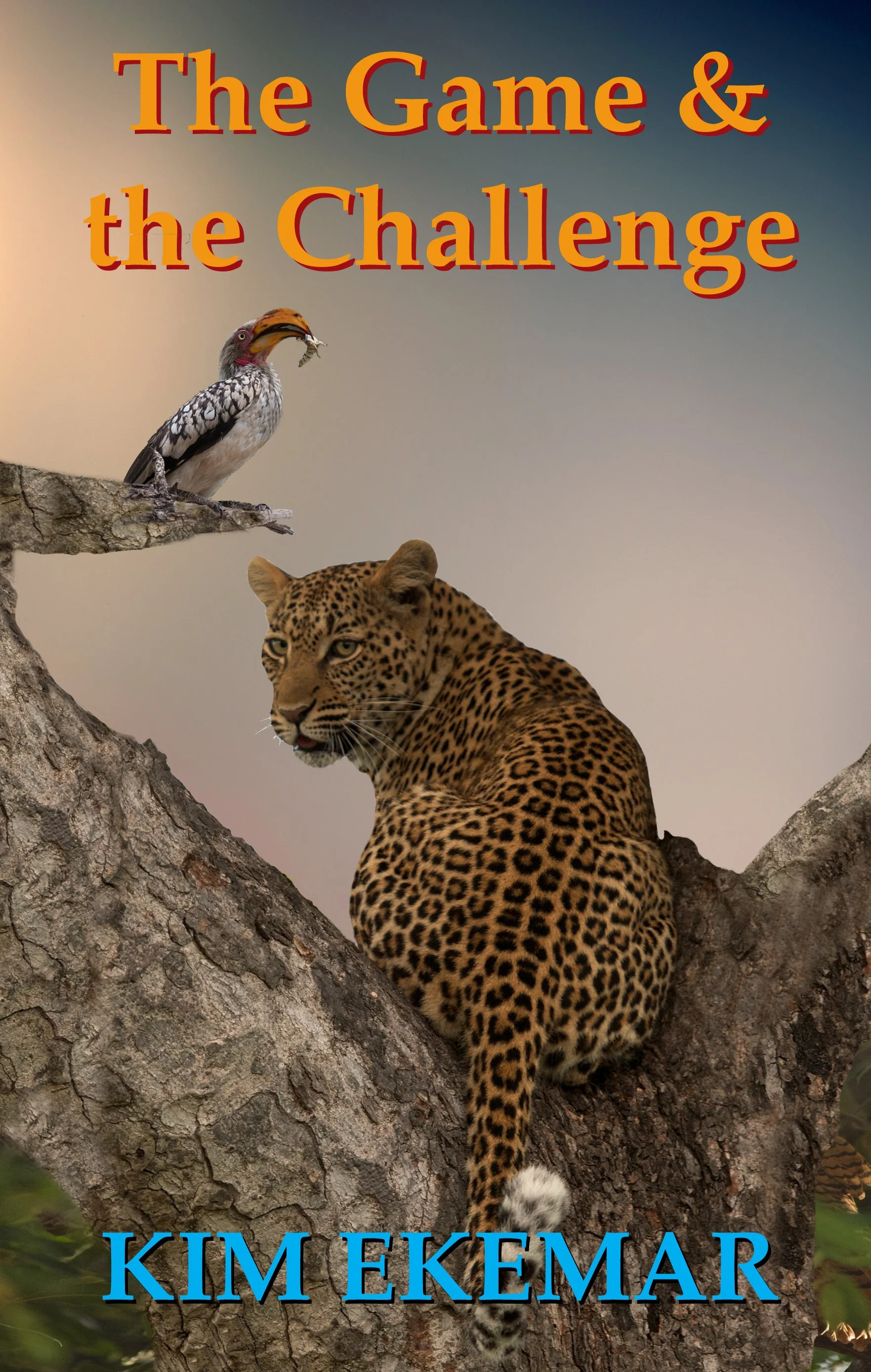 191224 MERGED KINDLE The Game & the Challenge copy.jpg