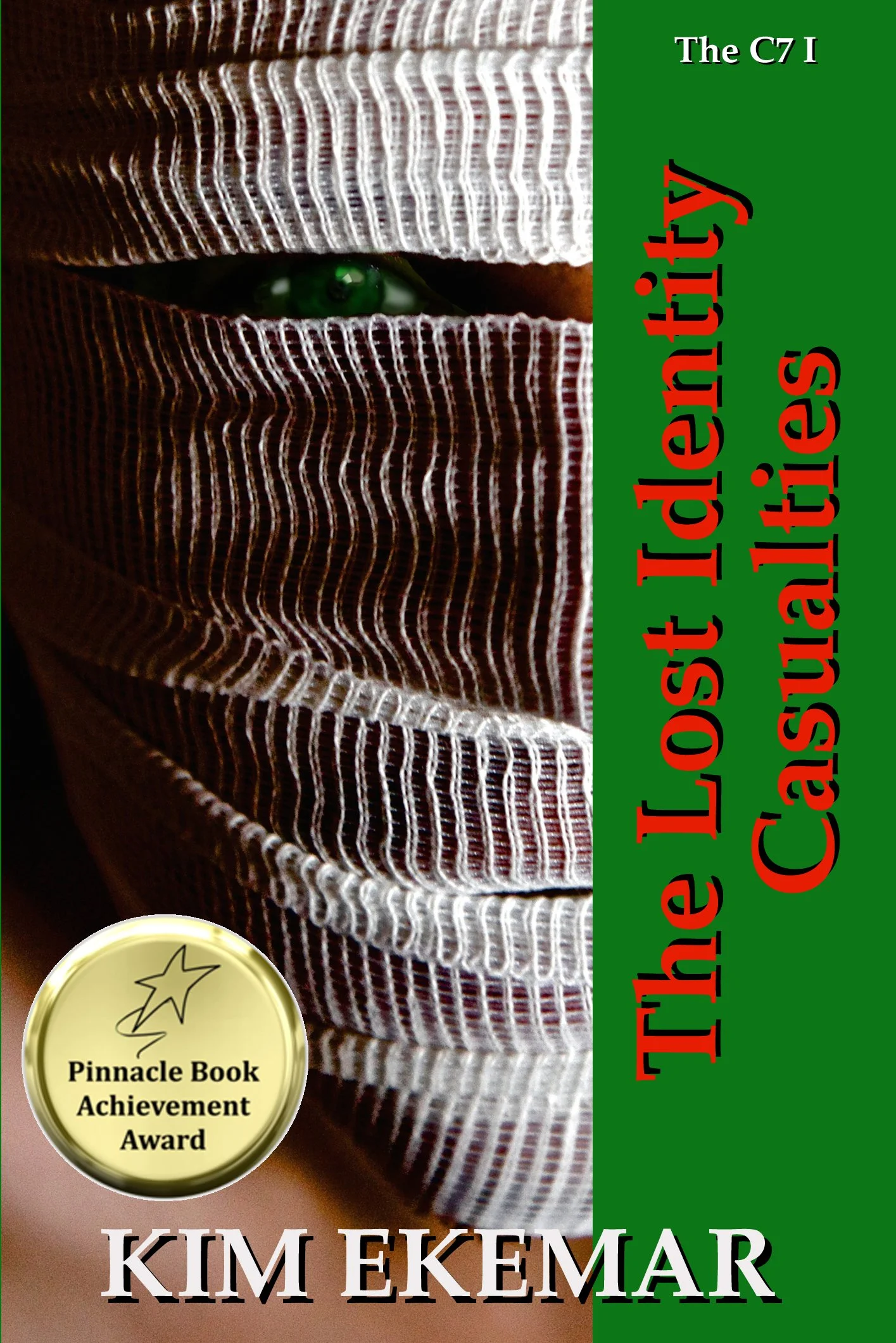 190513 EBOOK MERGED The Lost Identity Casualties.jpg