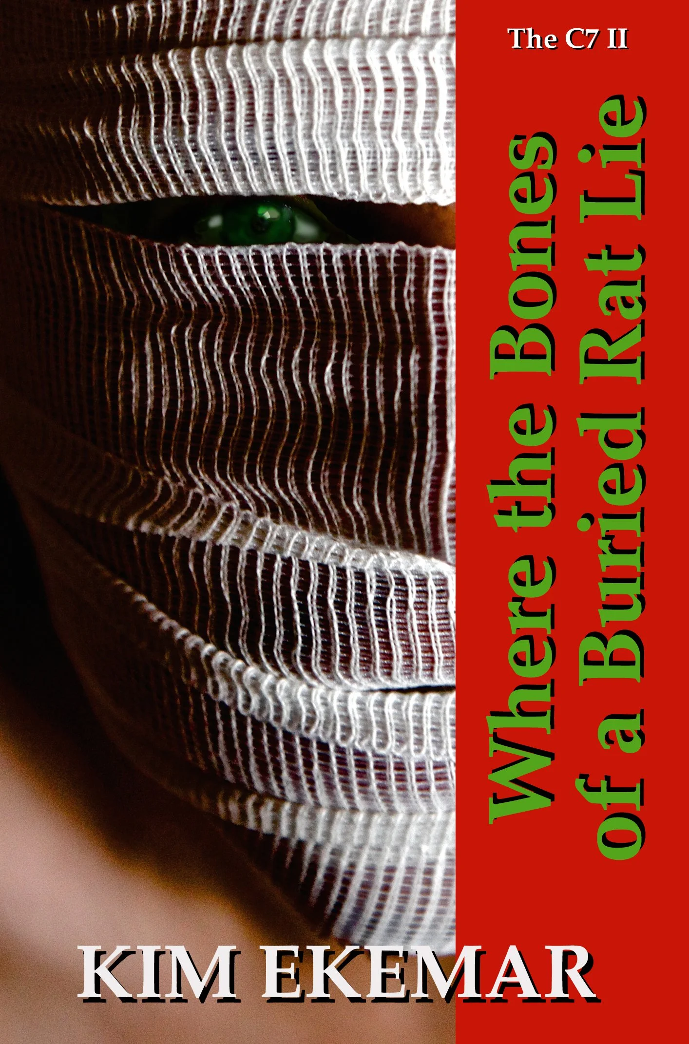 221007 EBOOK MERGED Where the Bones of a Buried Rat Lie.jpg