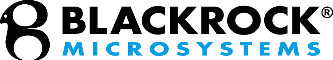 BlackRock_Logo_blackblue high res.jpg