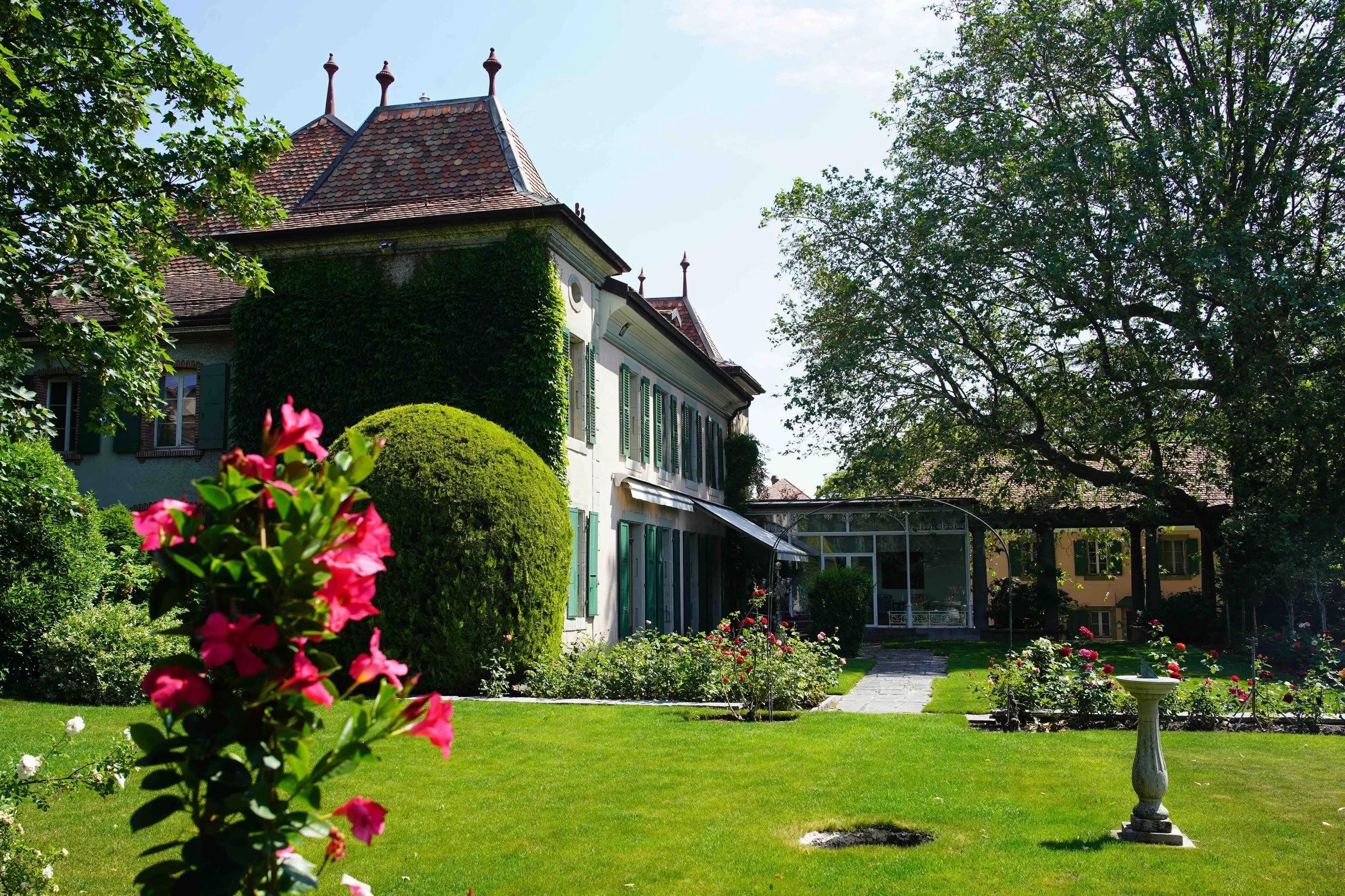 DSC09379 - copie.jpeg