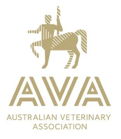 AVA.jpg
