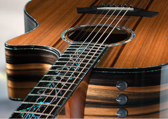 Taylor's V-Class Builder's Edition. 