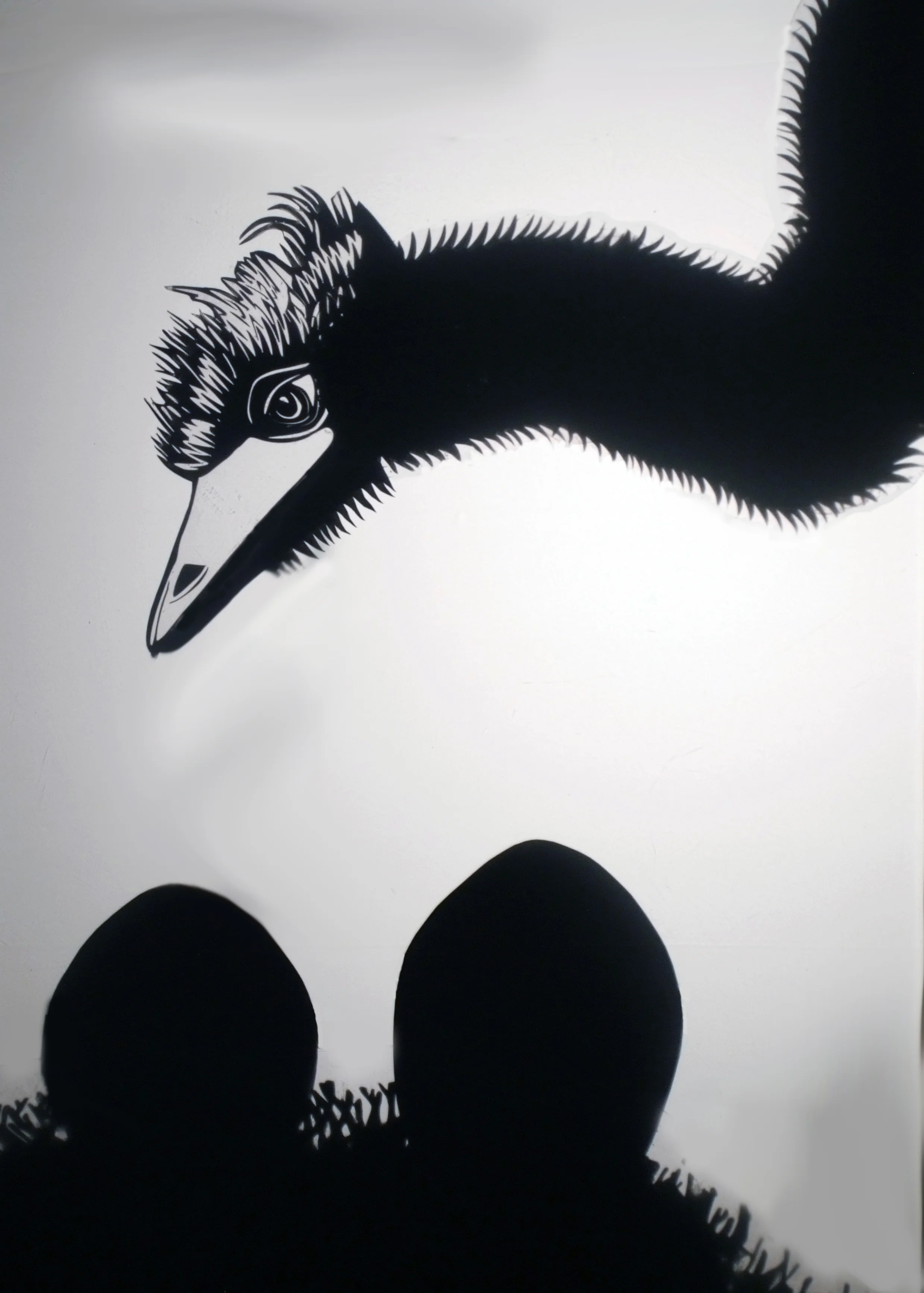 Emu and eggs 3.jpg