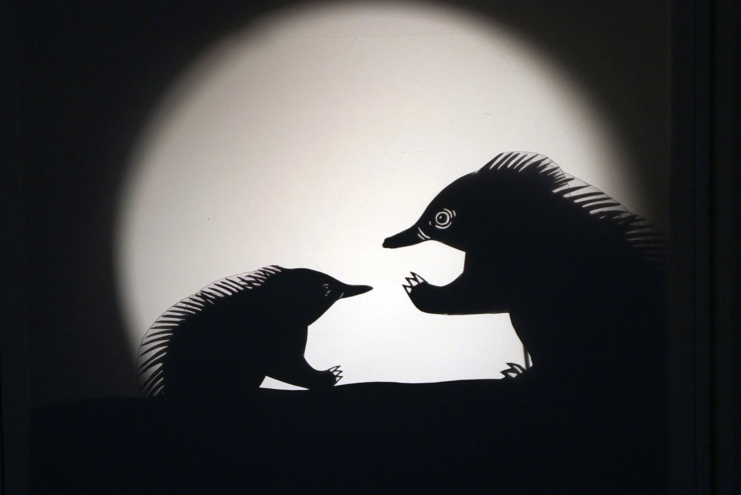 Two Echidnas.JPG