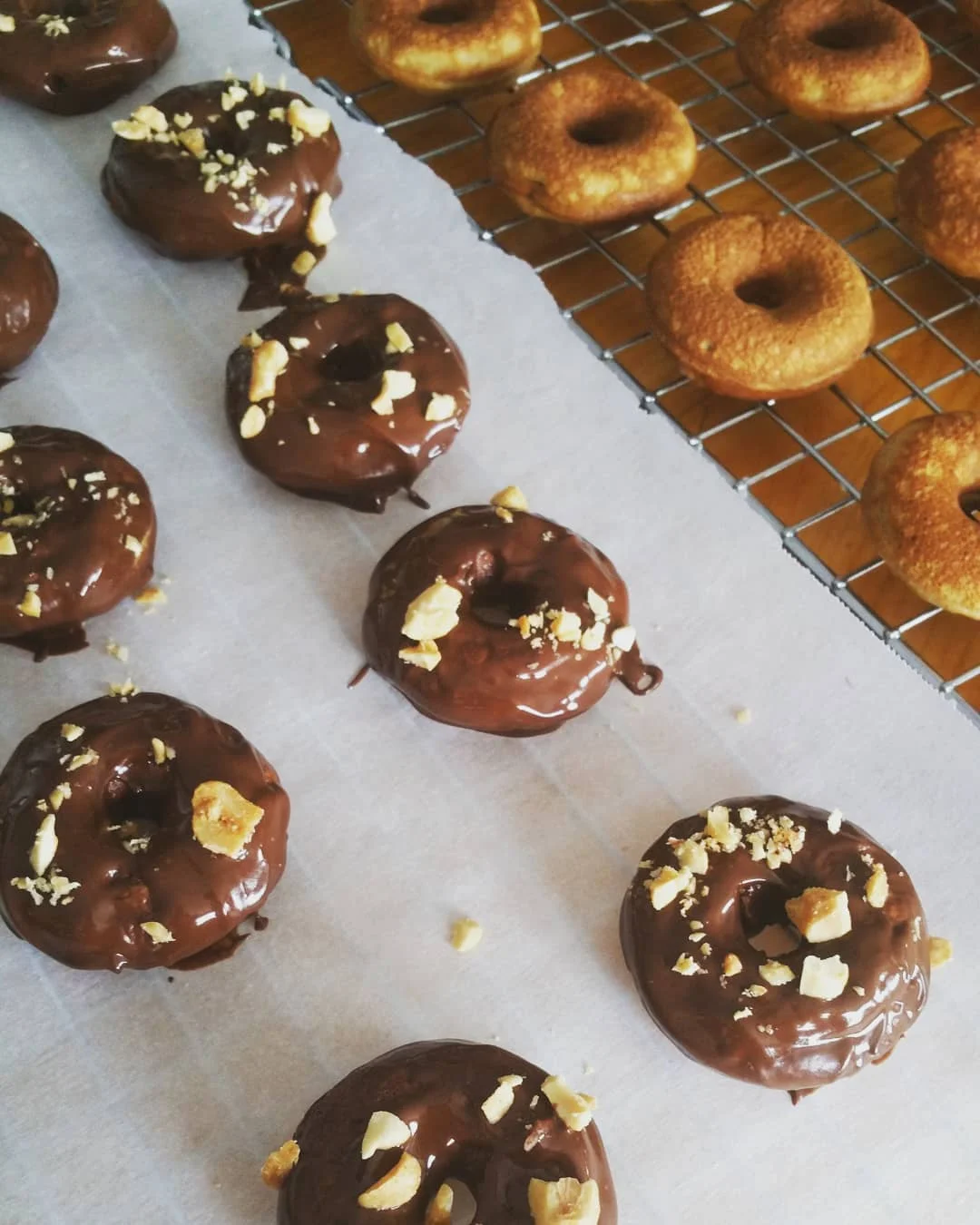 Donuts.jpg