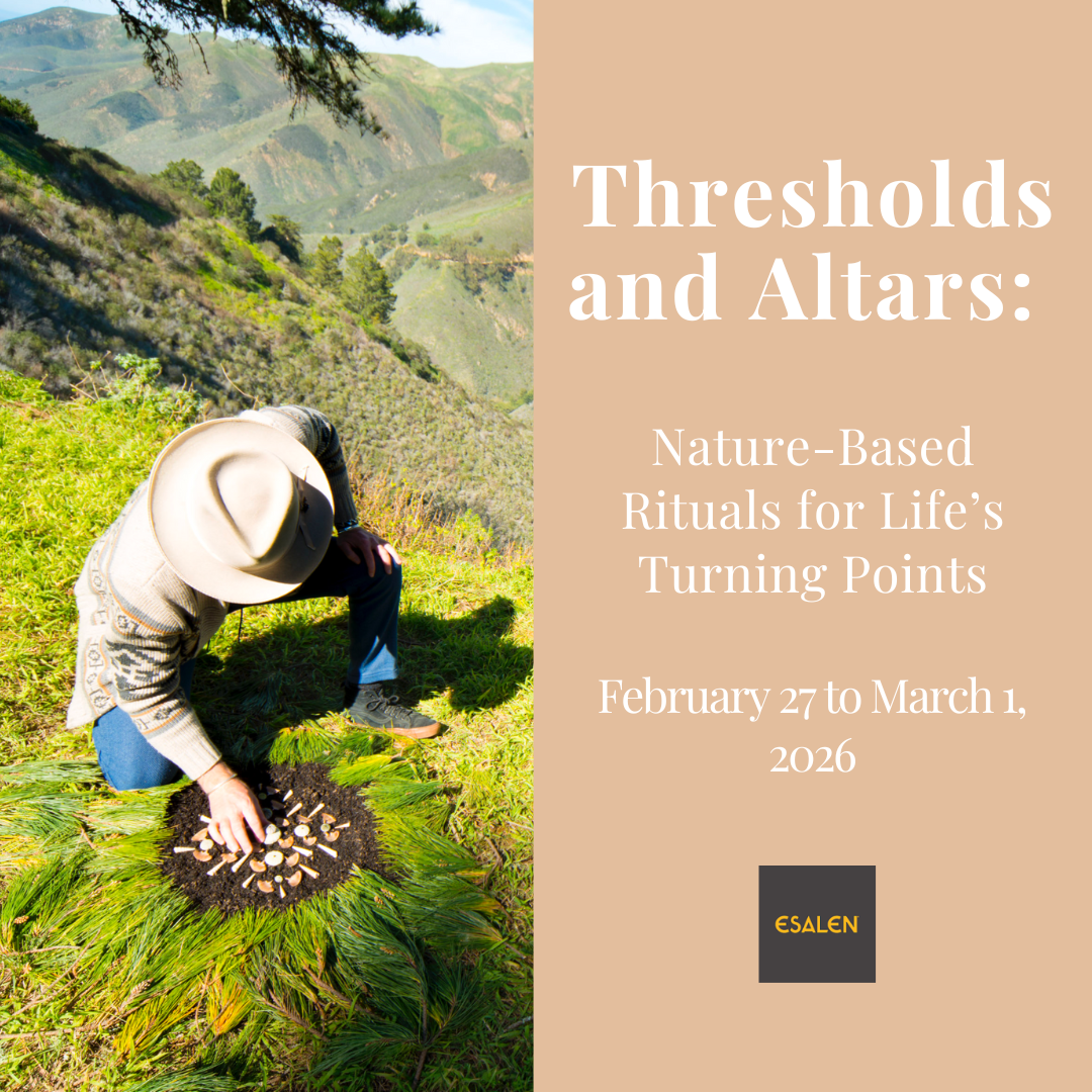 Thresholds and Altars: Nature-Based Rituals for Life’s Turning Points