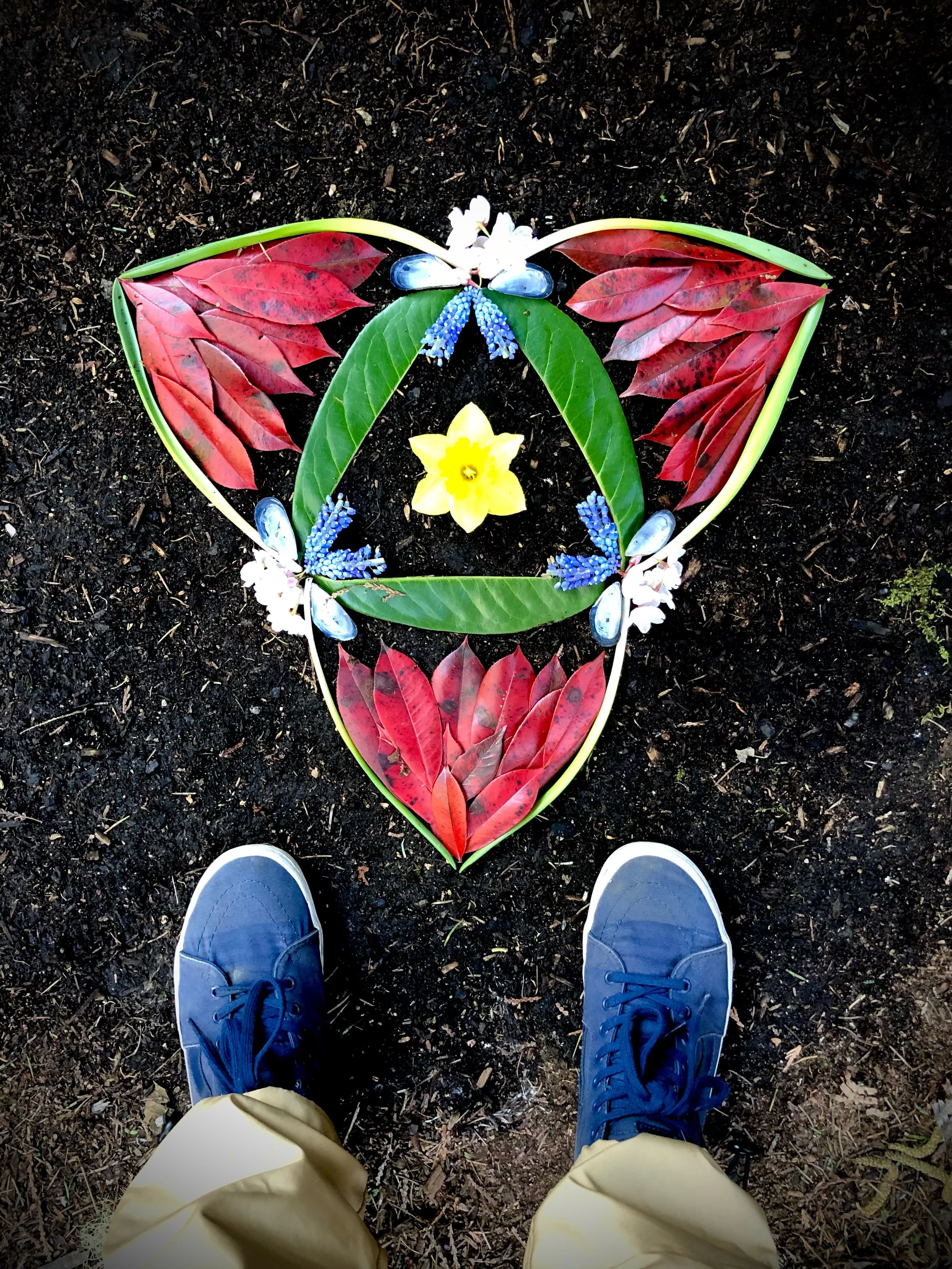 I want simplicity. Like the hummingbirds have it. Like the water has it. Like this puppy sleeping at my feet has it. I want slow. Like the rocks do it. Like the clouds do it. Like the cactus on my desk does it. Good thing we have so many to remind us