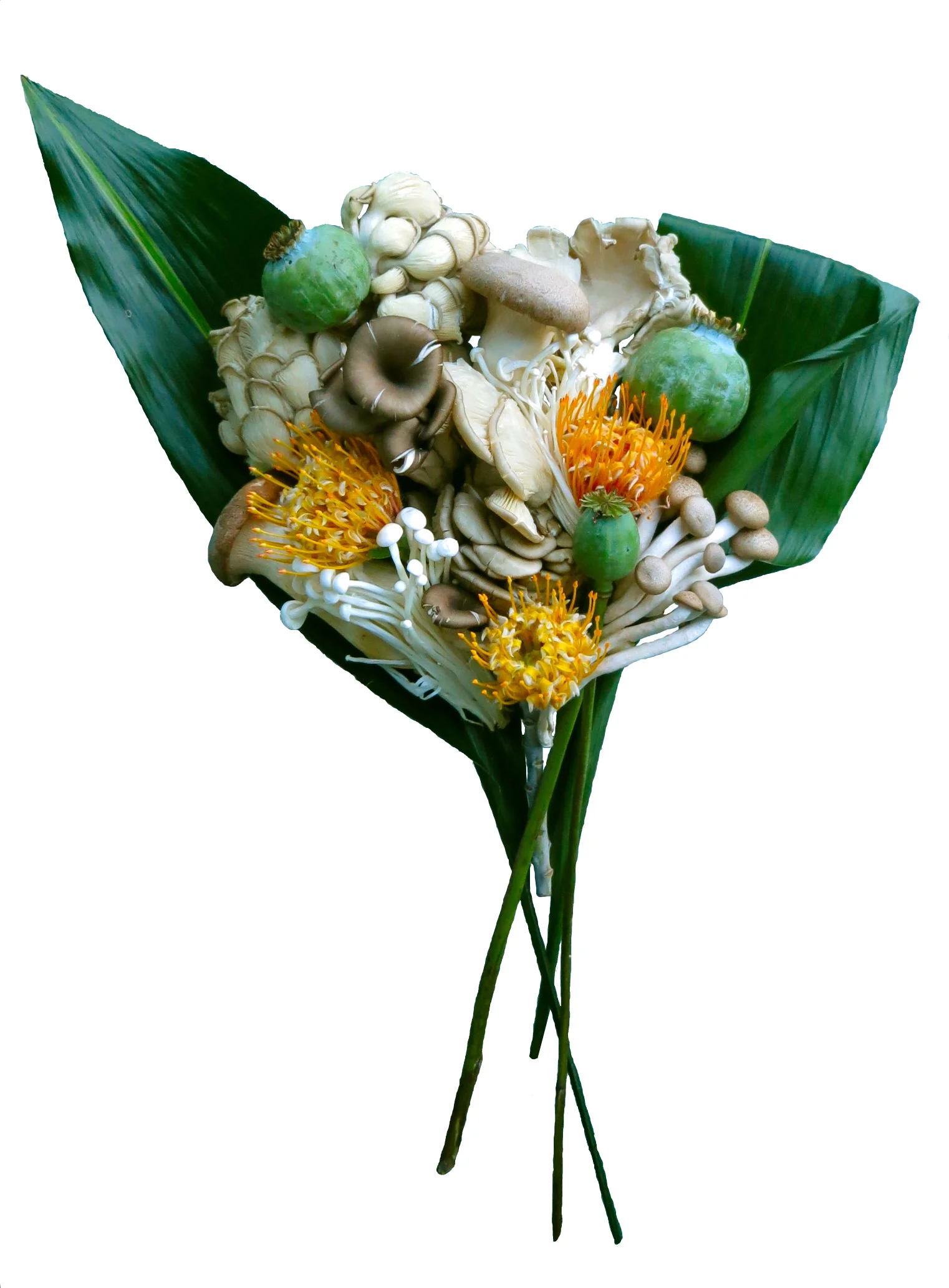 fungi bouquet