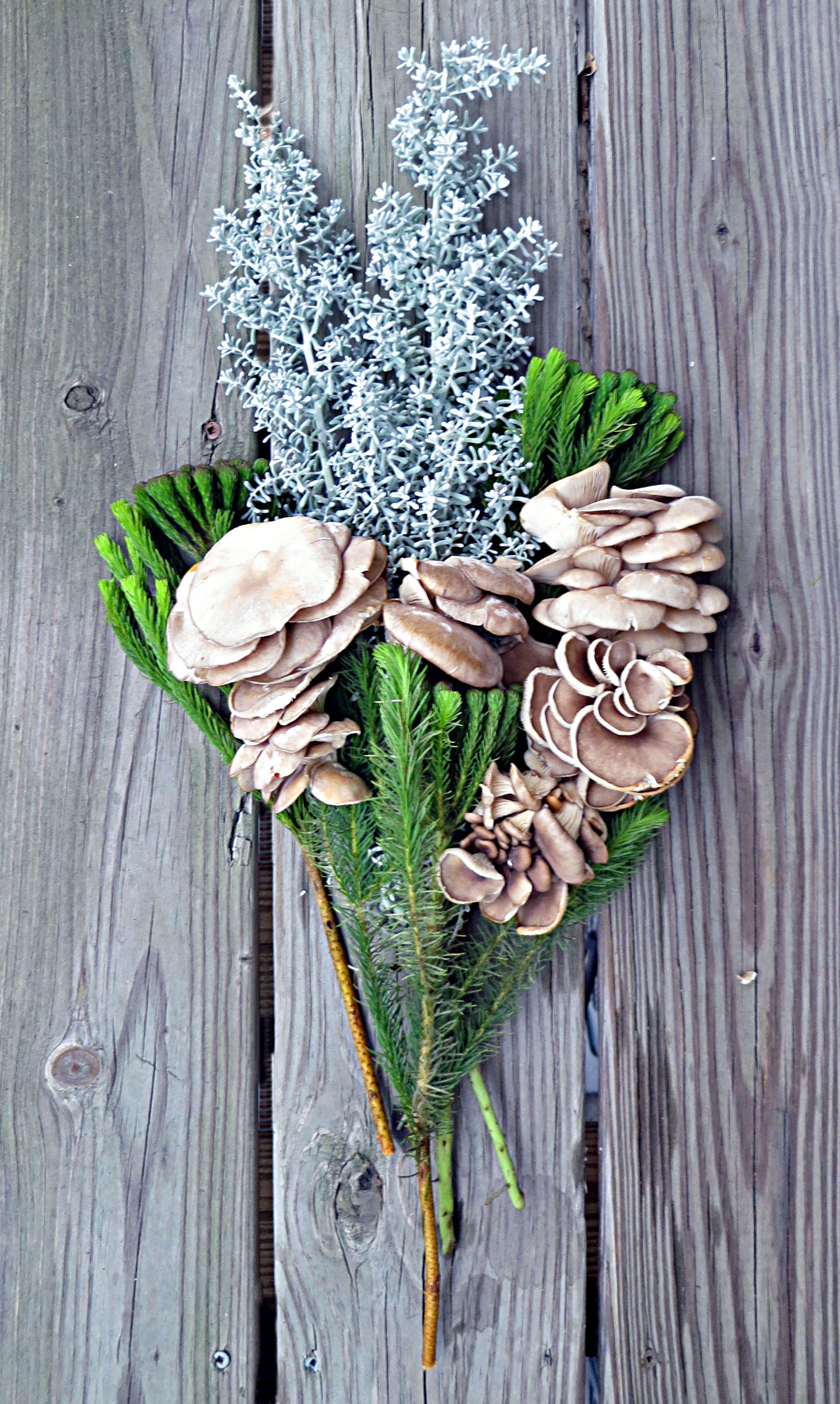 FUNGI BOUQUET 7