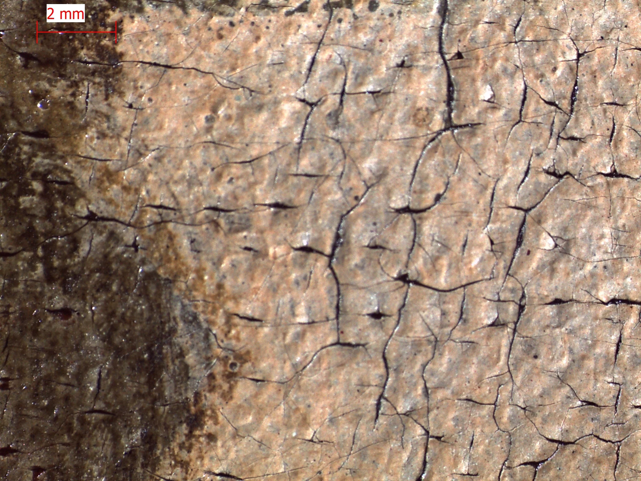 PA 511 topcoat AT of isoammoniawater Iso clear2.jpg