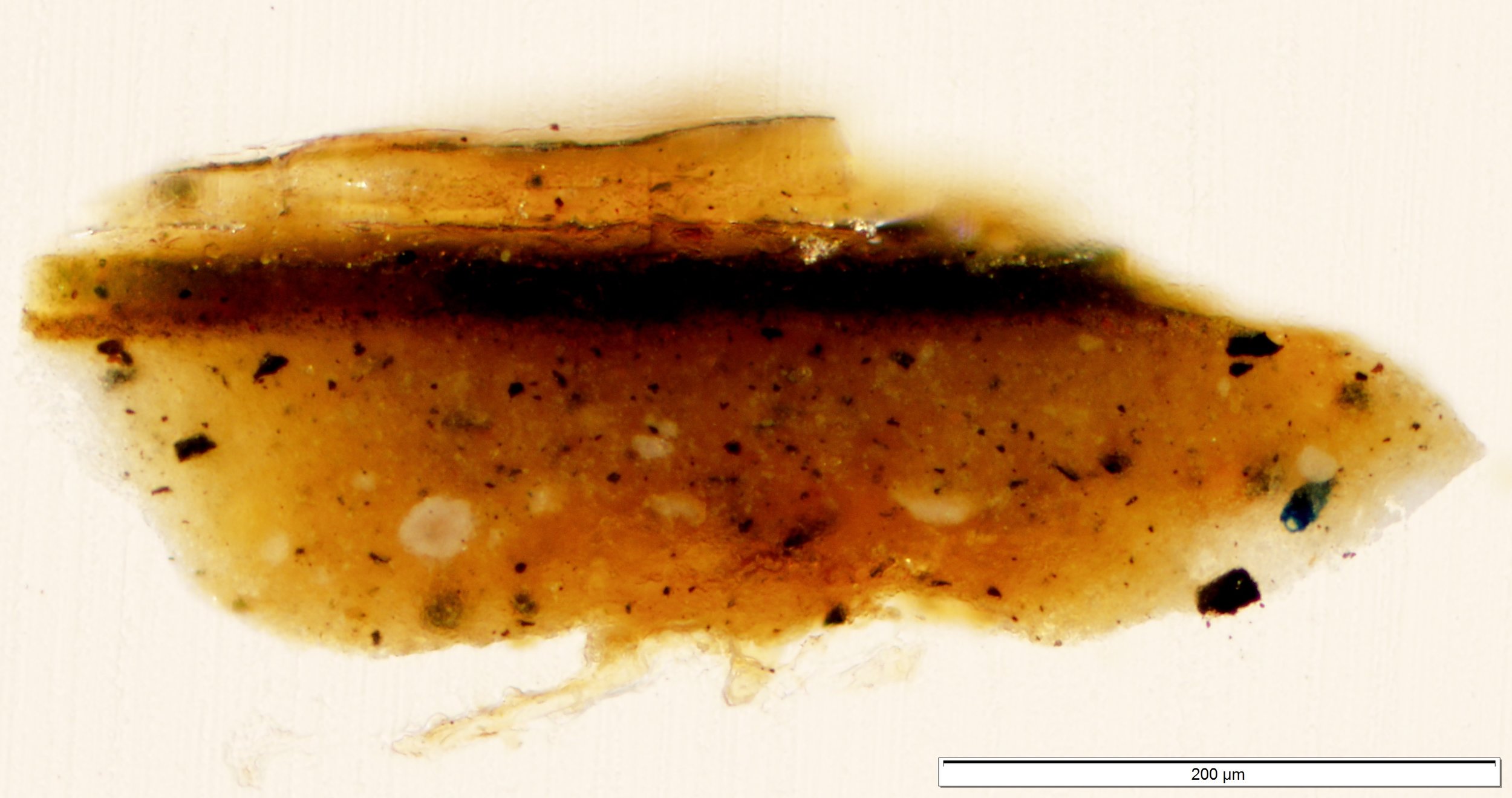 PA 511 3 normal light.jpg