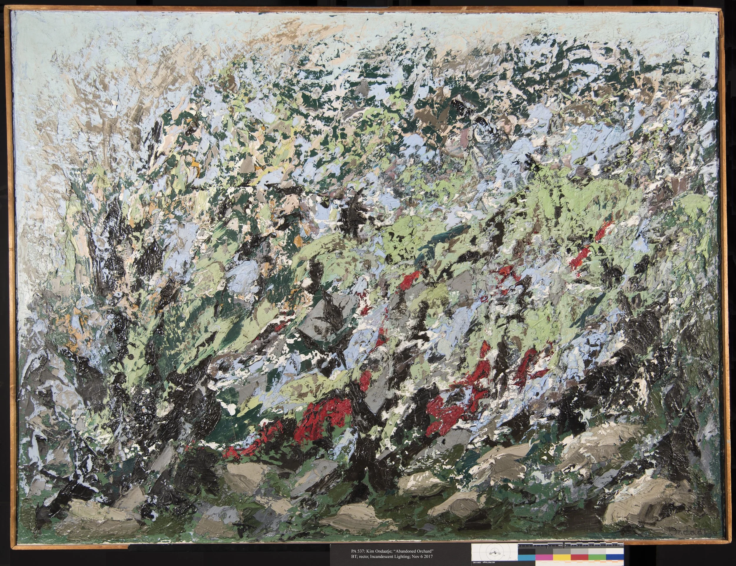 Kim Ondaatje | Abandoned OrchardFull Treatmentoil on canvas