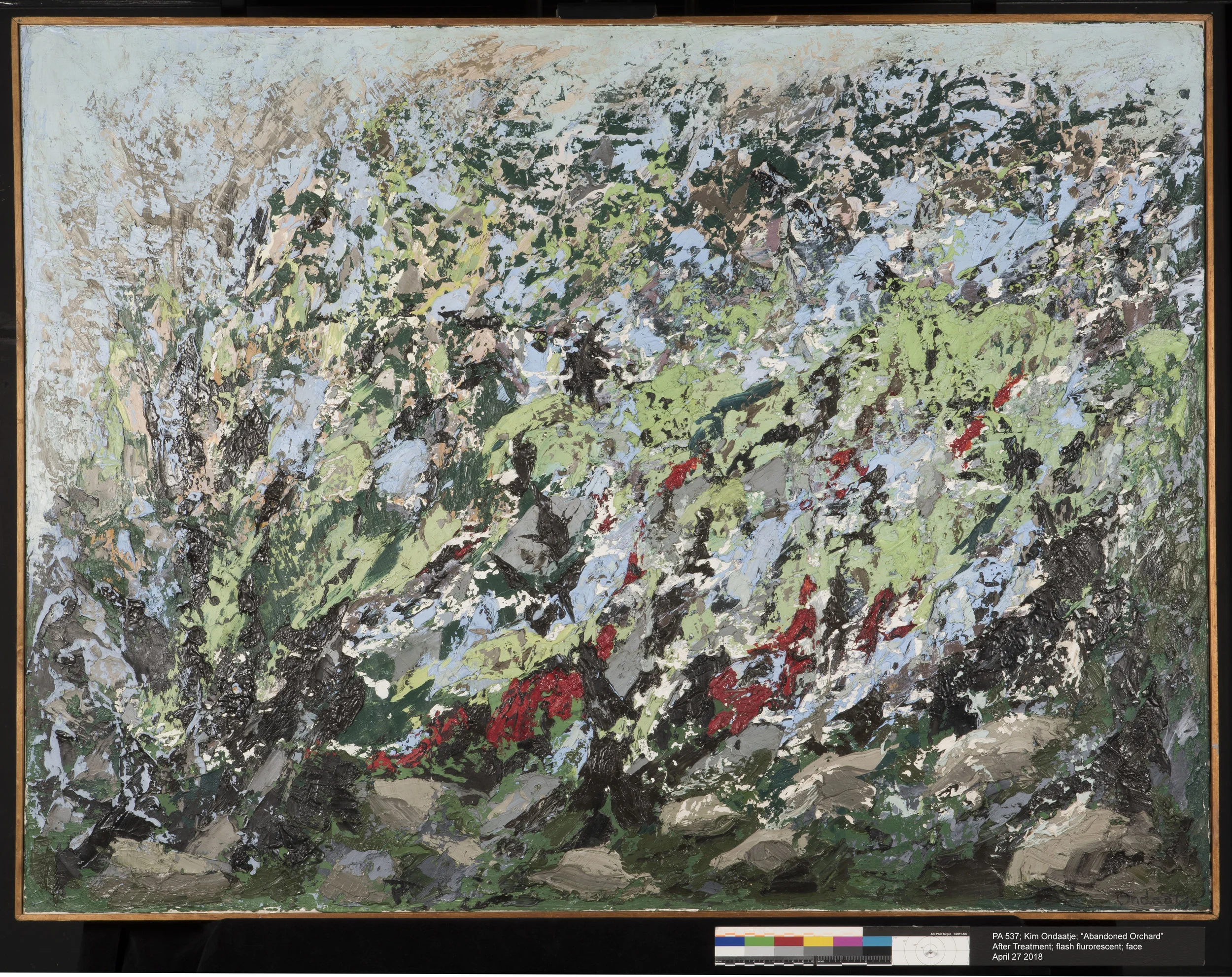 AFTER TREATMENT; Kim Ondaatje, "Abandoned Orchard", face, flash fluorescent lighting