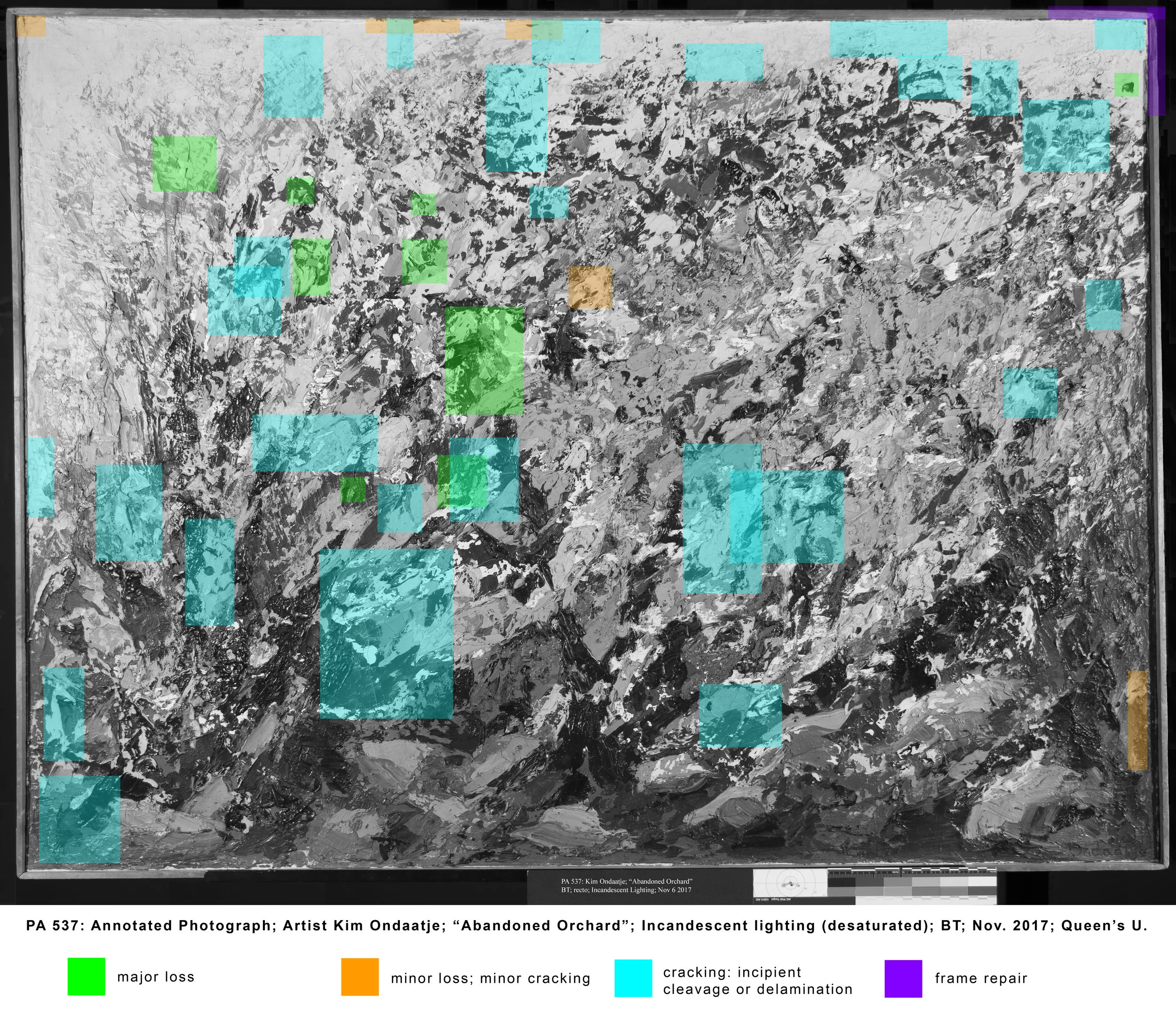 ANNOTATED IMAGE: BEFORE TREATMENT