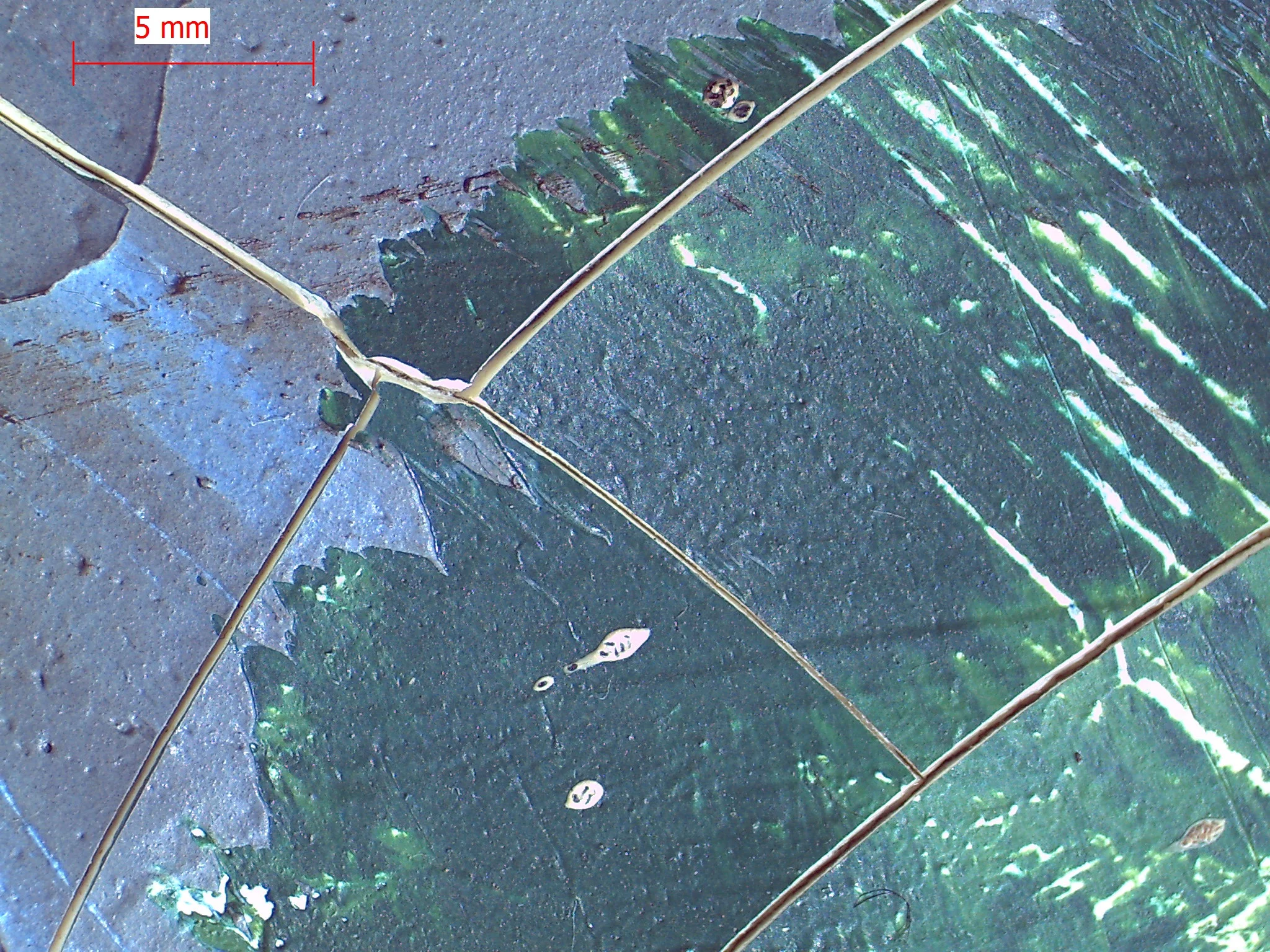 crack example copy.jpg