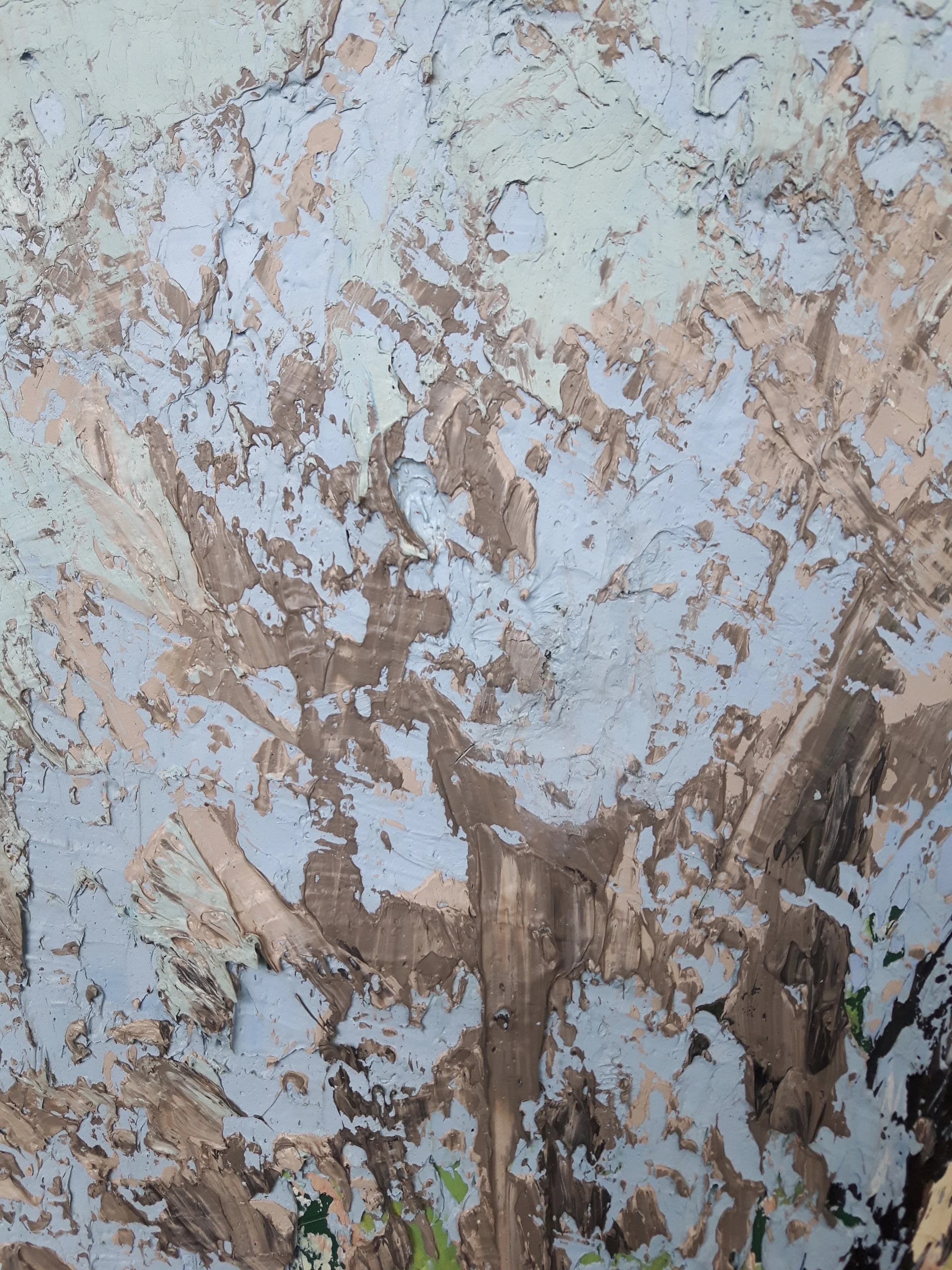 20180424_130134 copy.jpg