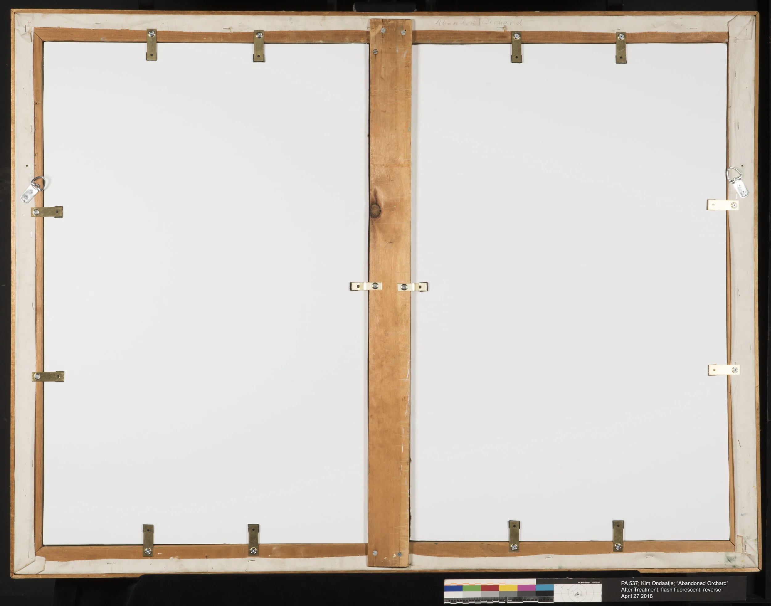 PA53738AT_flash_reverse copy.jpg