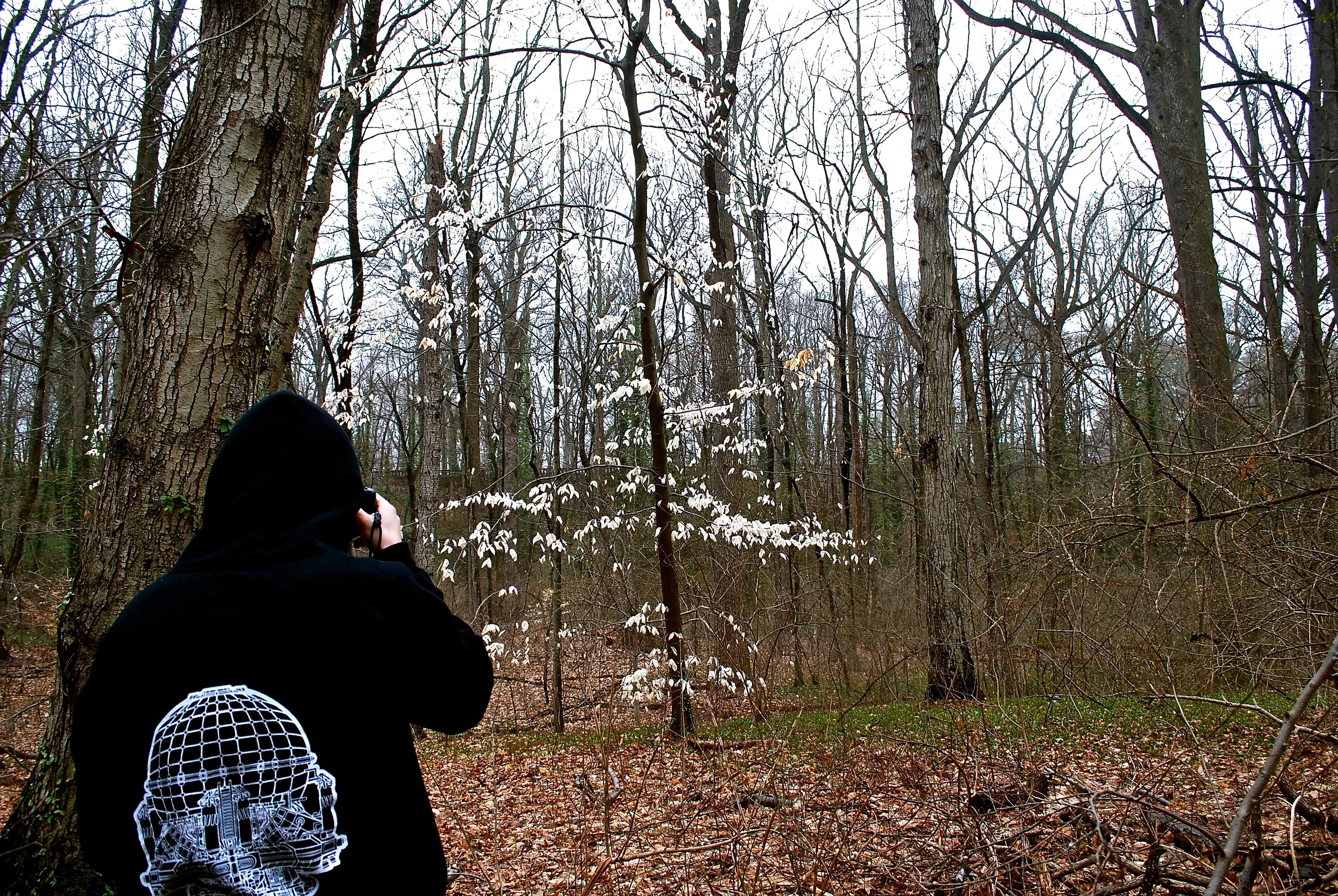 DSC_0956 - Version 2.JPG