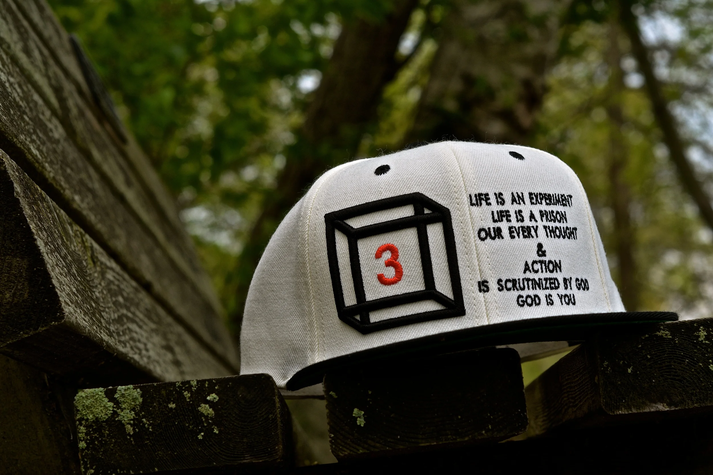 DSC_2451 - Version 2.JPG