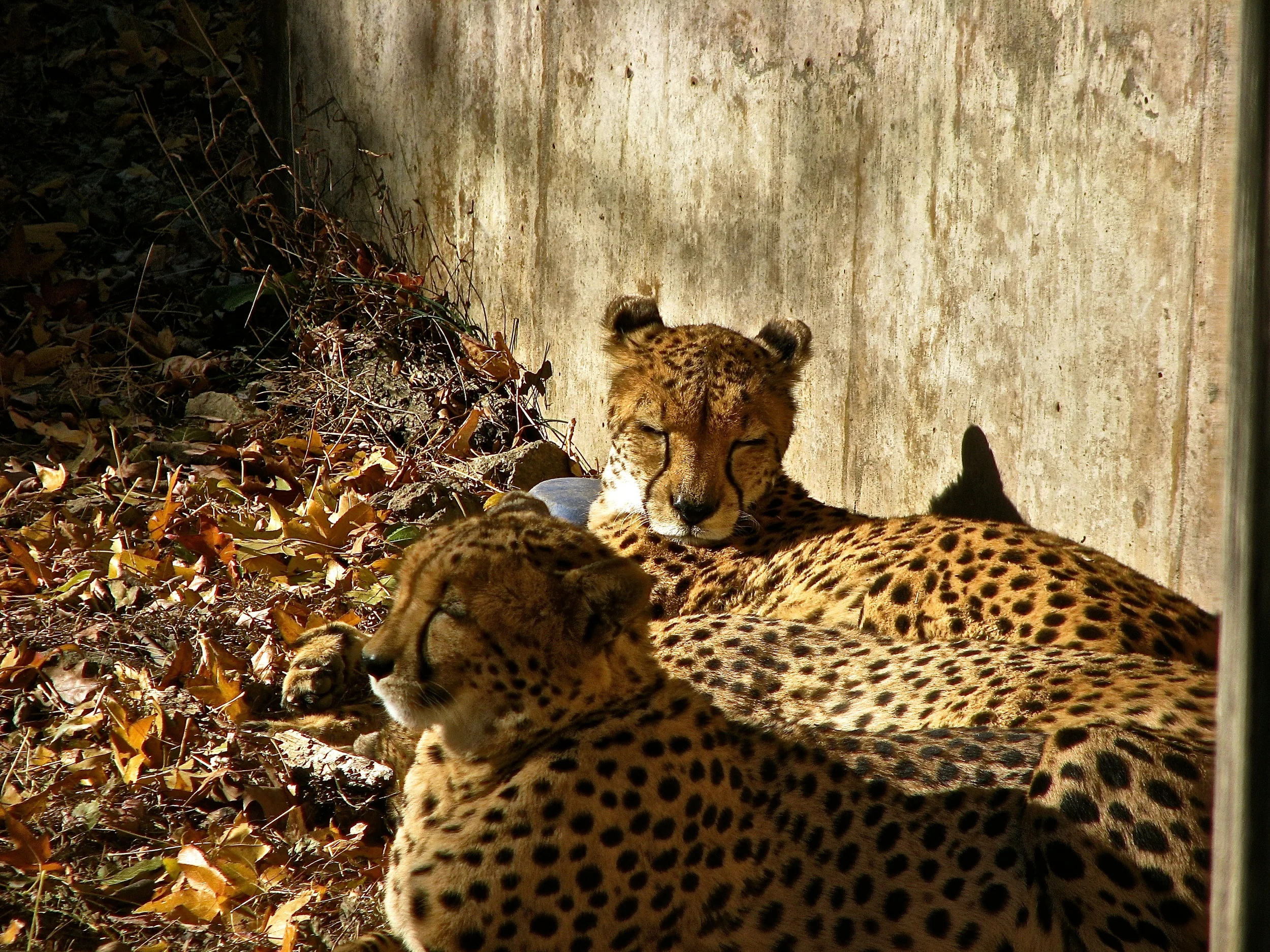 IMG_1649 - Version 2.JPG