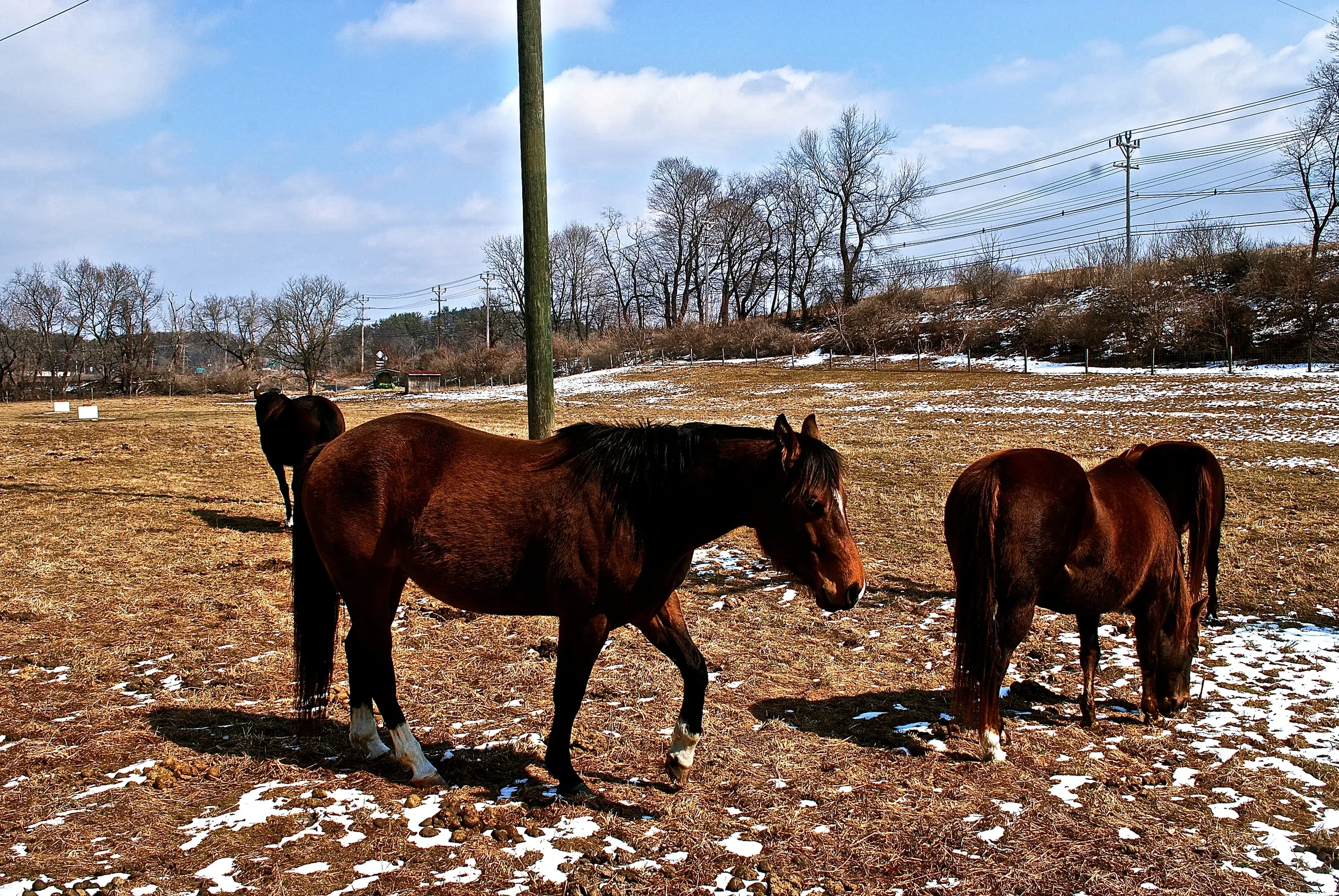 DSC_0612 - Version 2.JPG