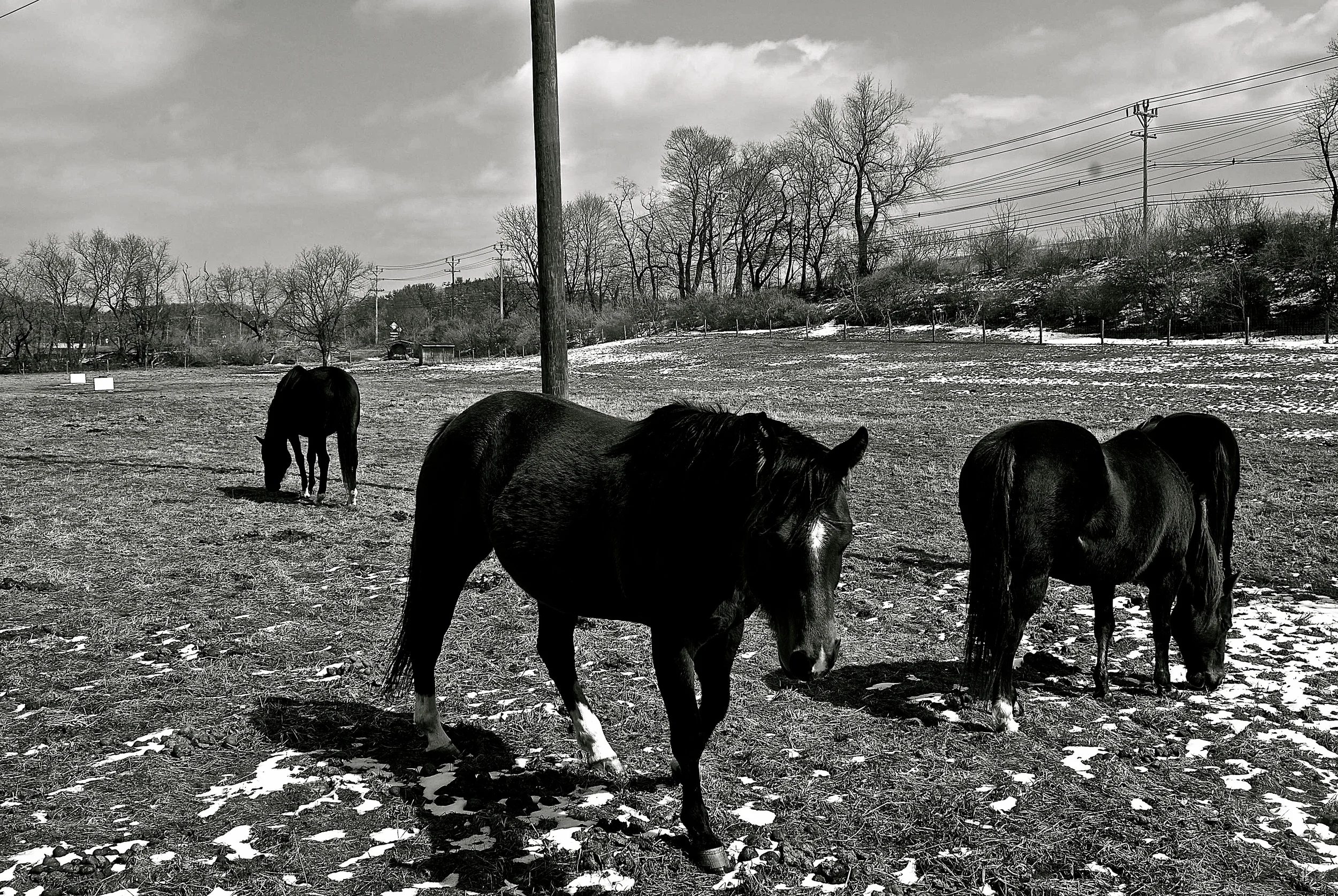 DSC_0617 - Version 2.JPG