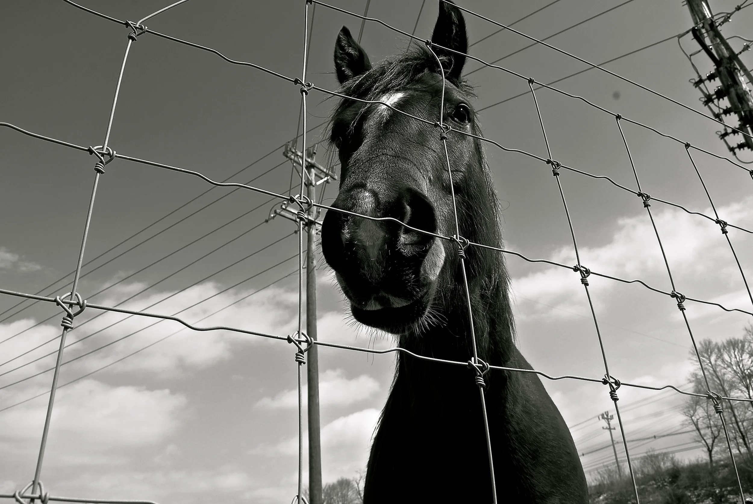 DSC_0625 - Version 2.JPG