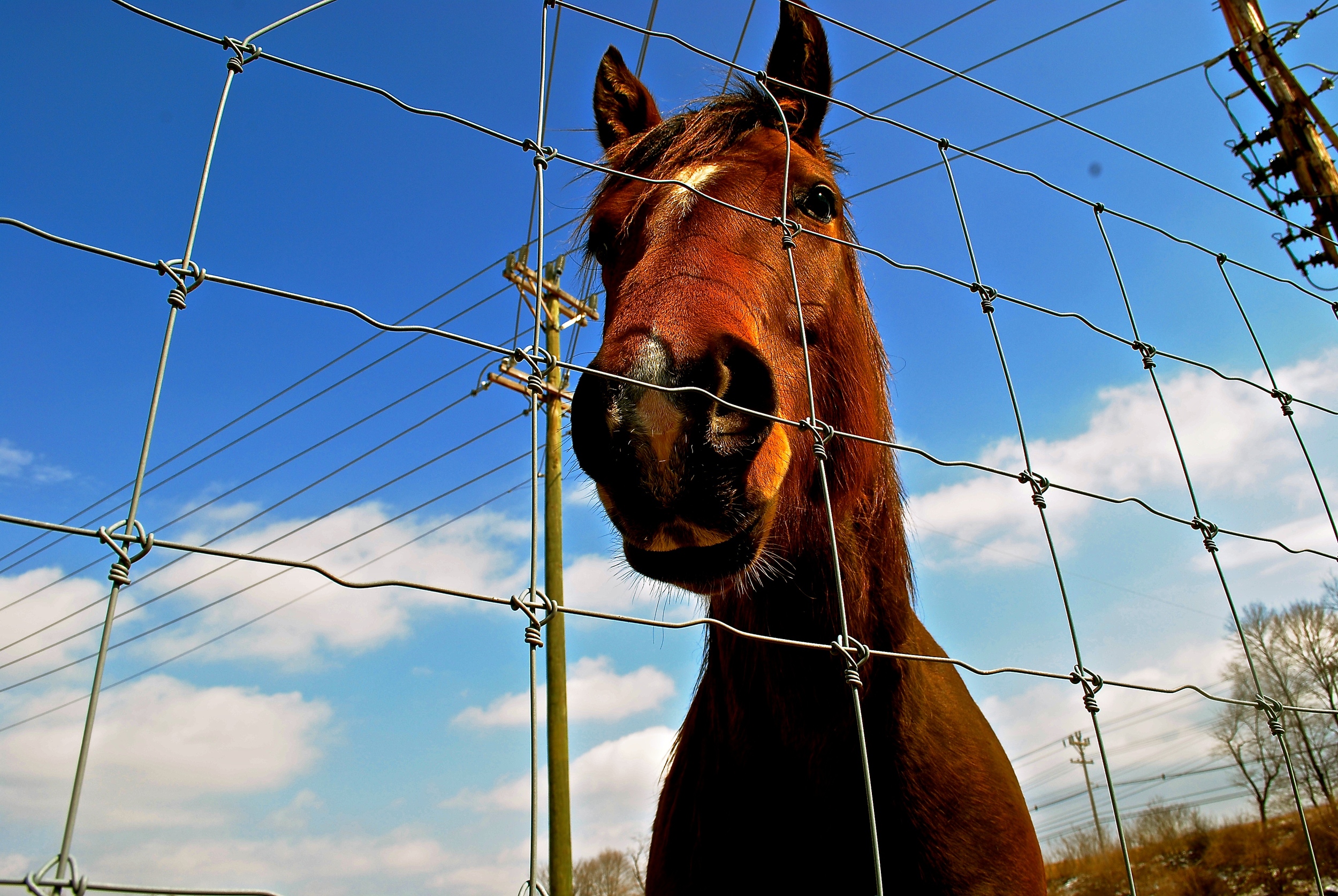 DSC_0625 - Version 3.JPG