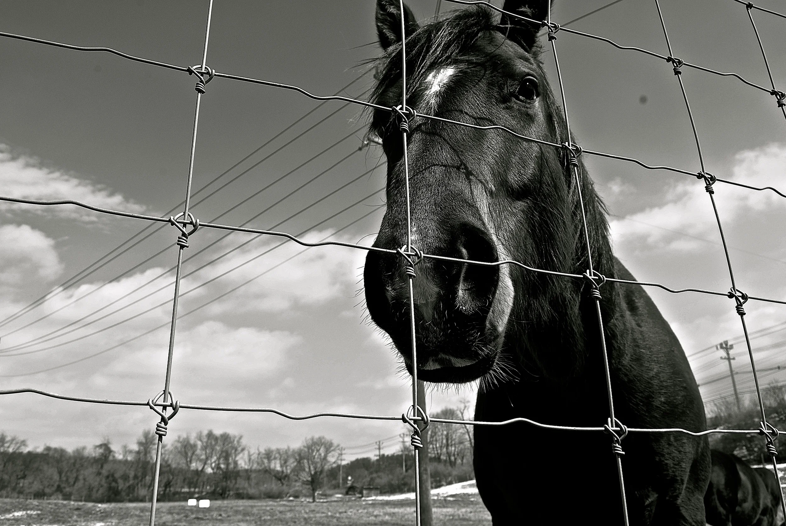 DSC_0630 - Version 2.JPG