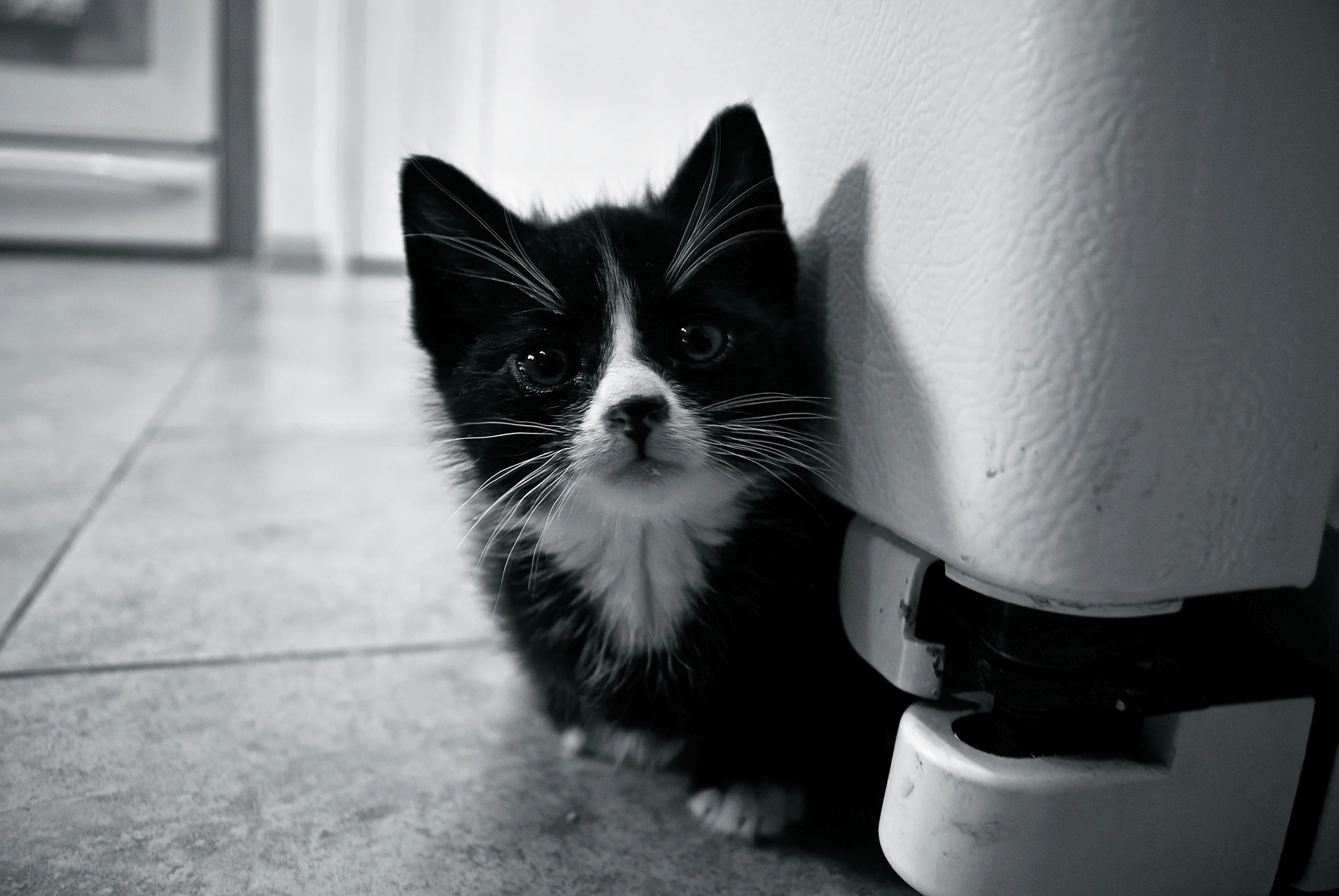 DSC_0275 - Version 3.JPG