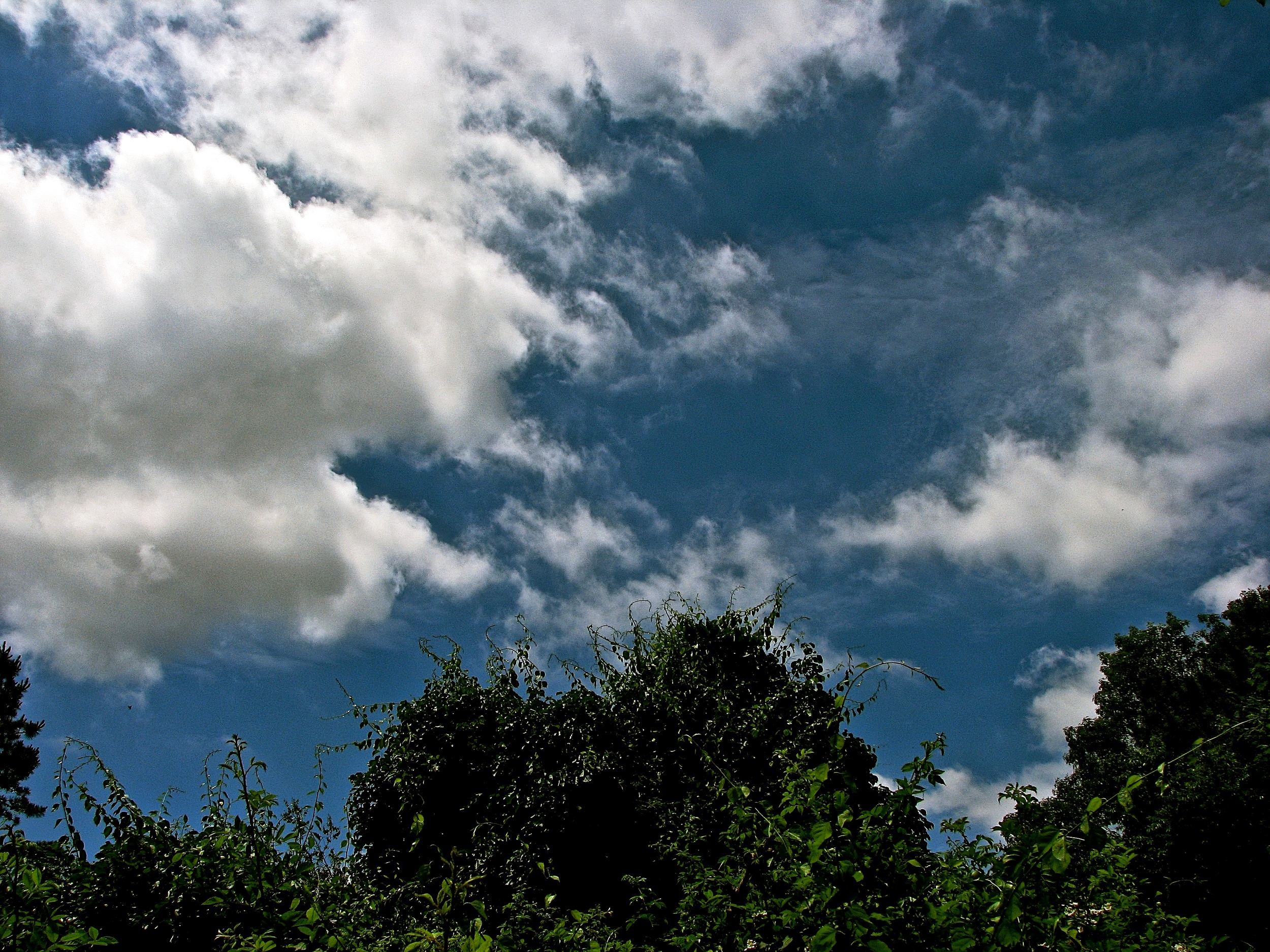 IMG_1351 - Version 2.JPG