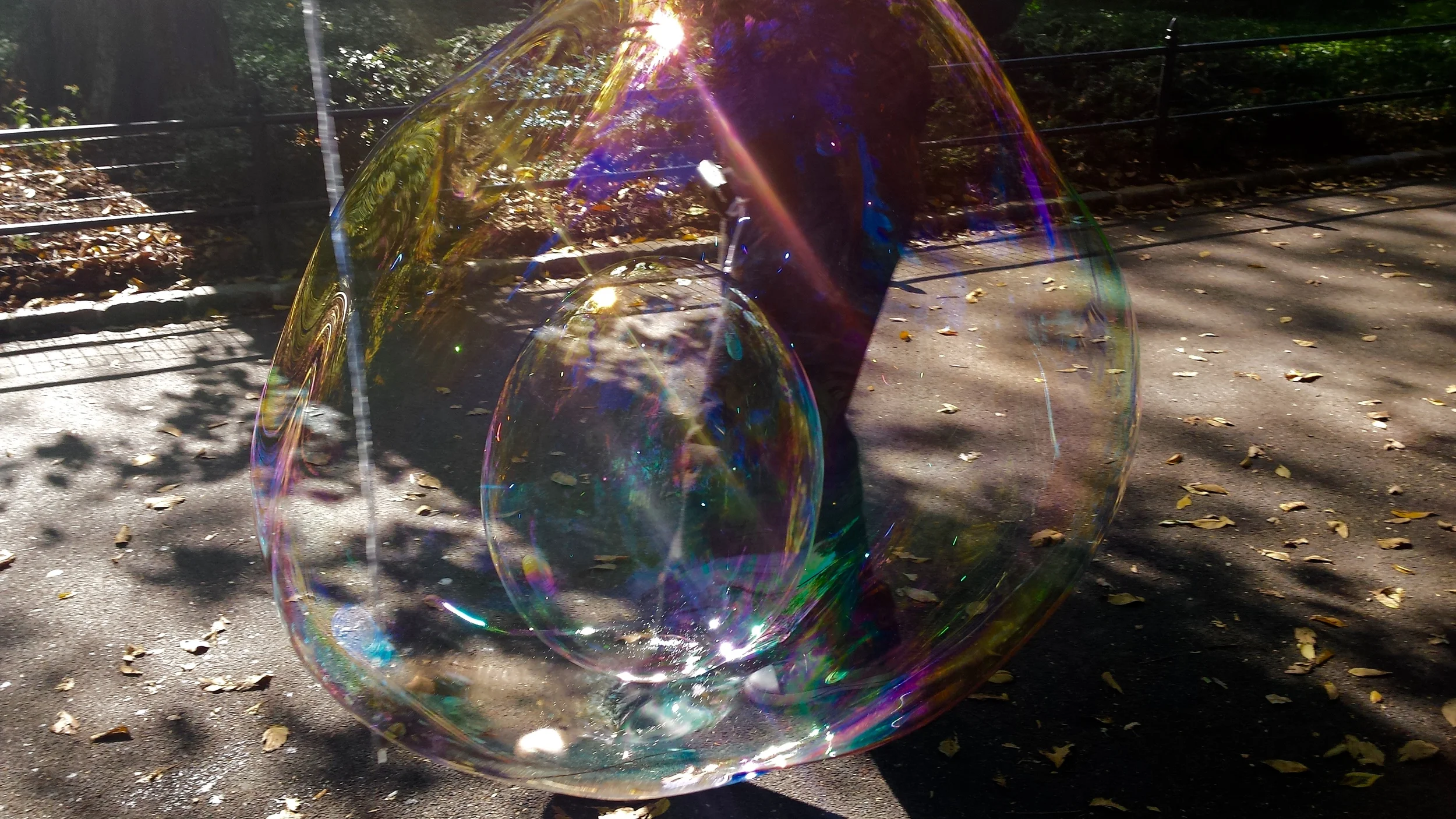 20141018_133717.jpg