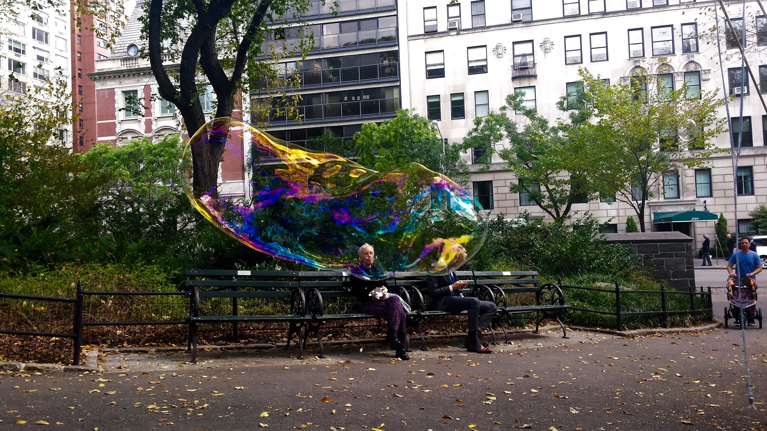 20141018_131604.jpg