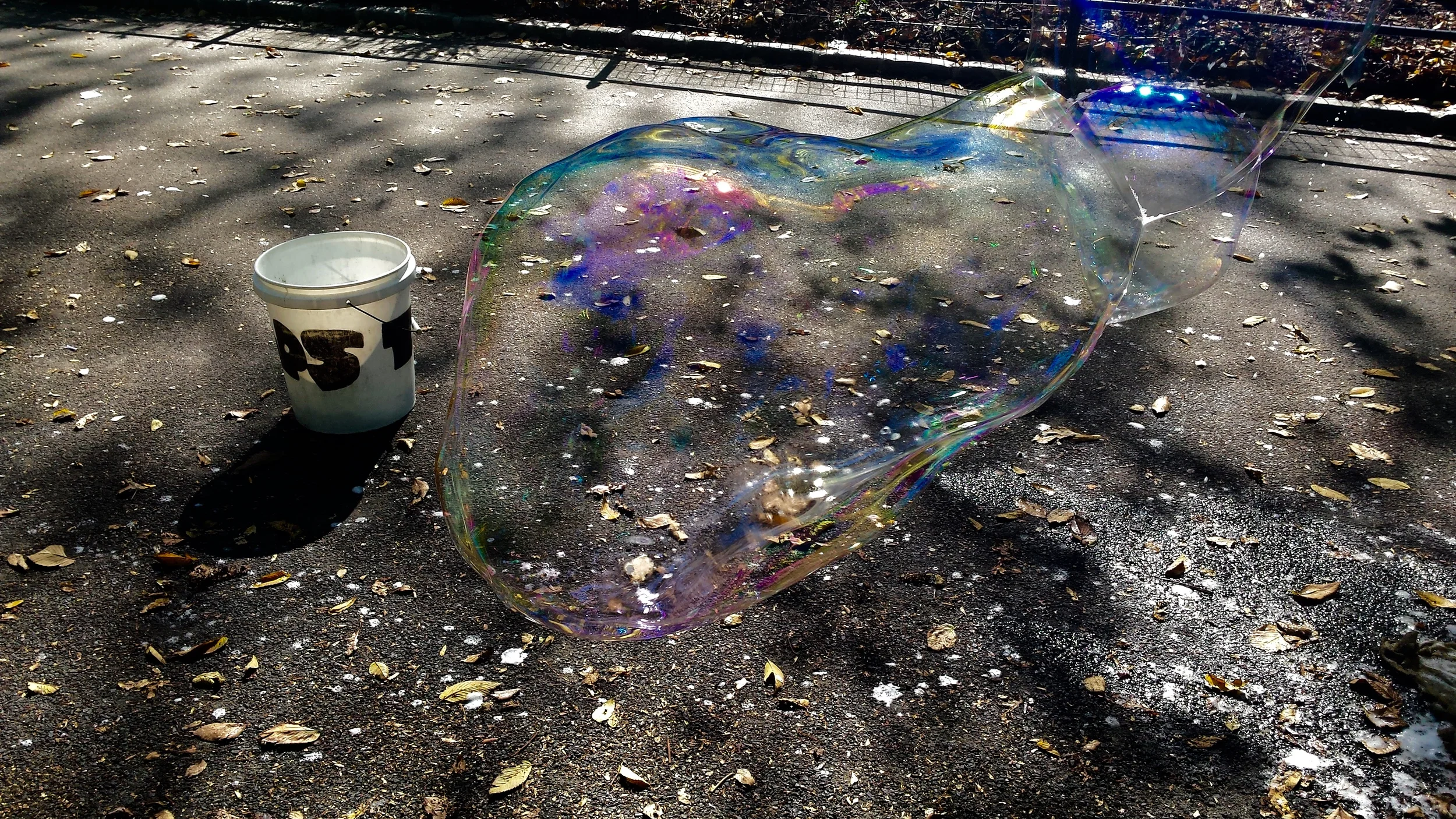 20141018_133751.jpg