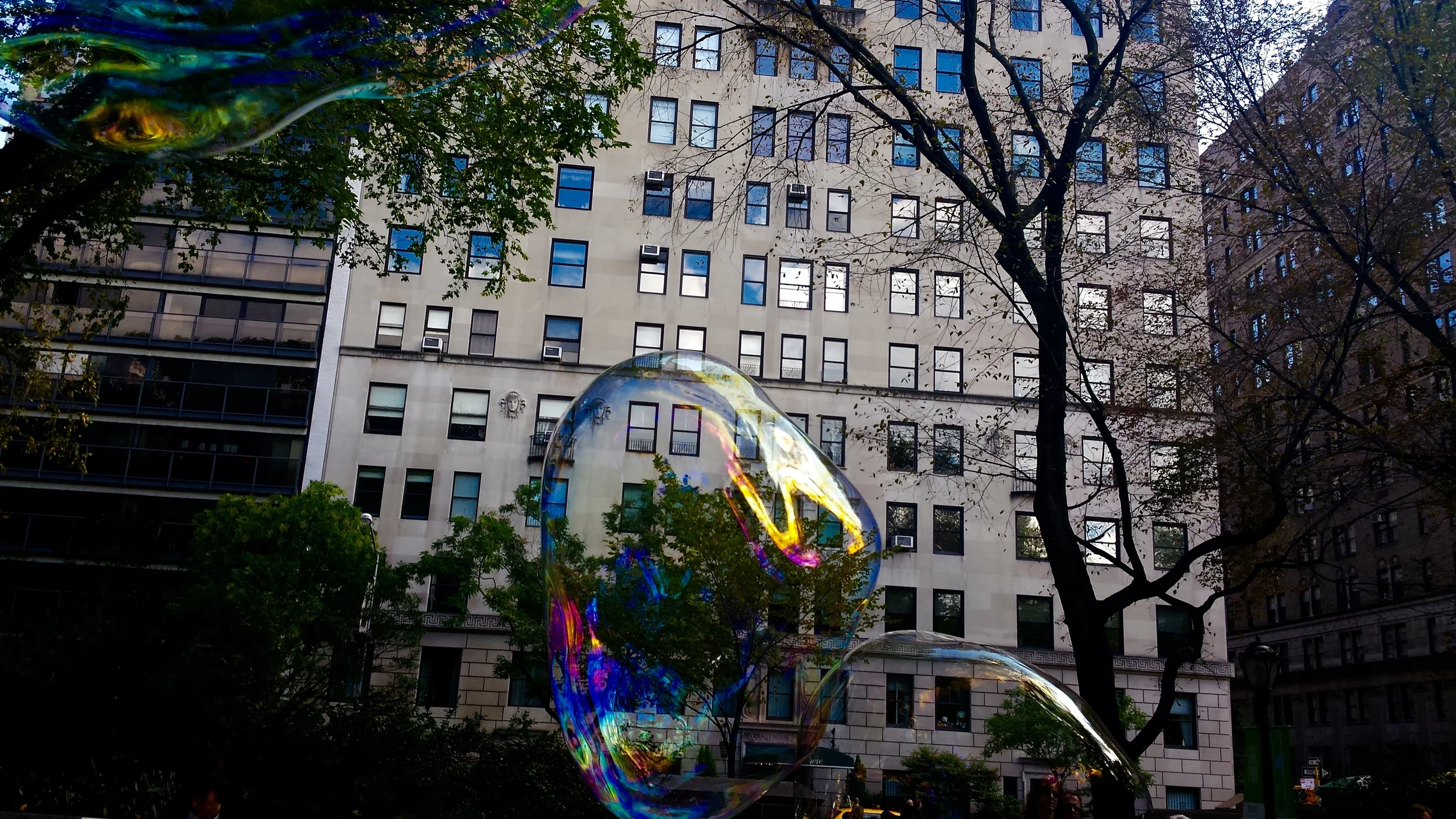 20141018_135332.jpg
