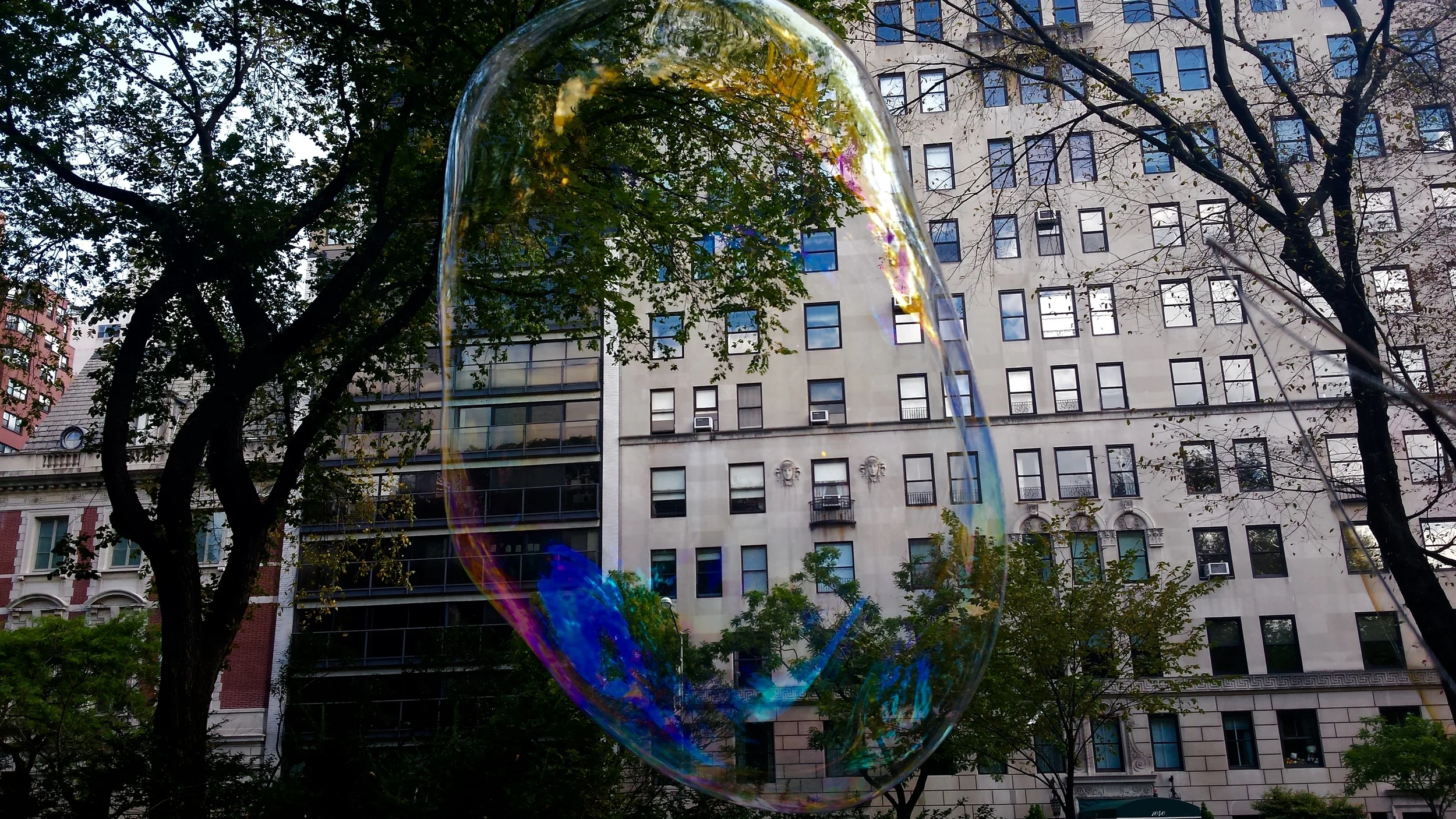 20141018_135335.jpg