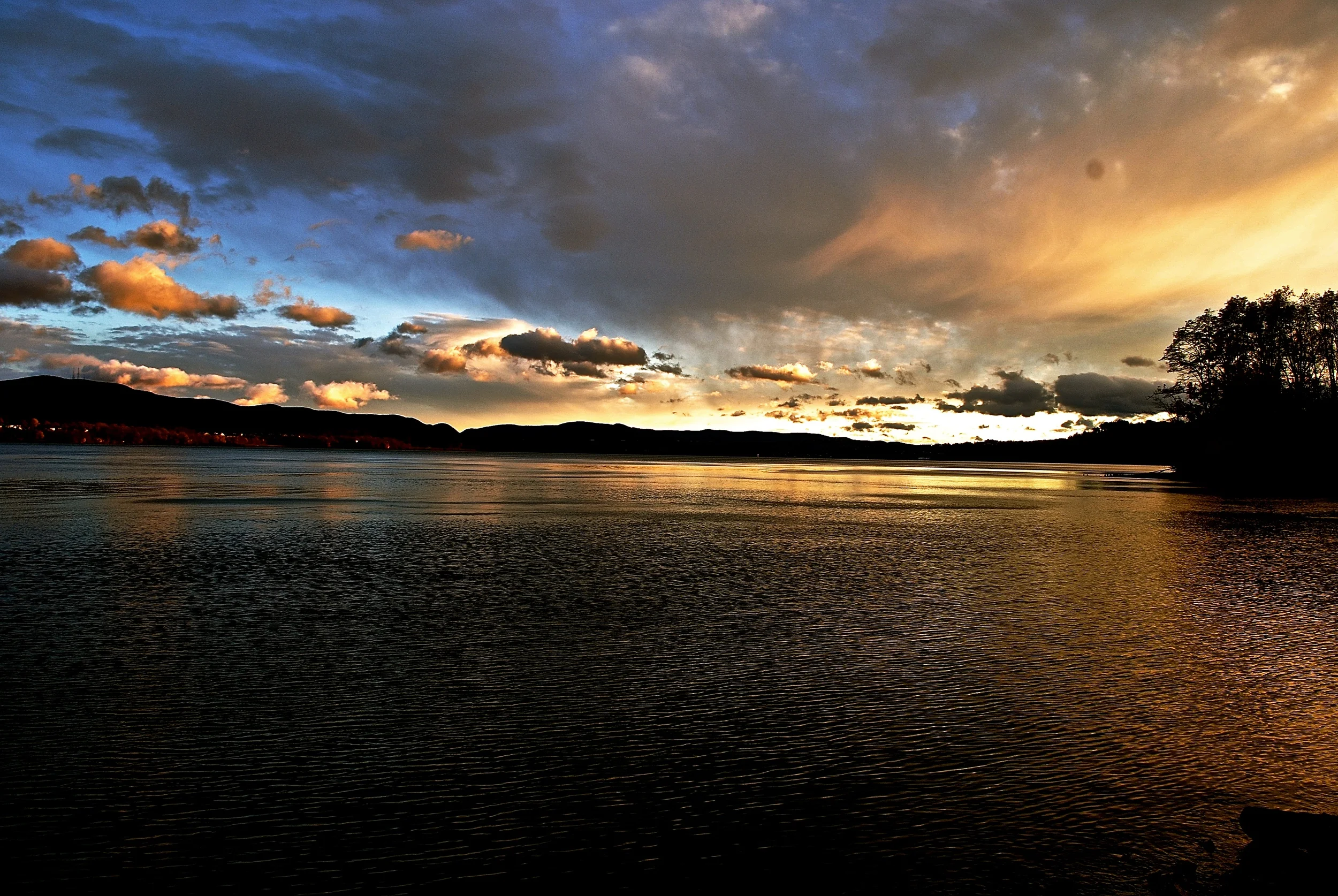 DSC_0240_3 - Version 2.JPG