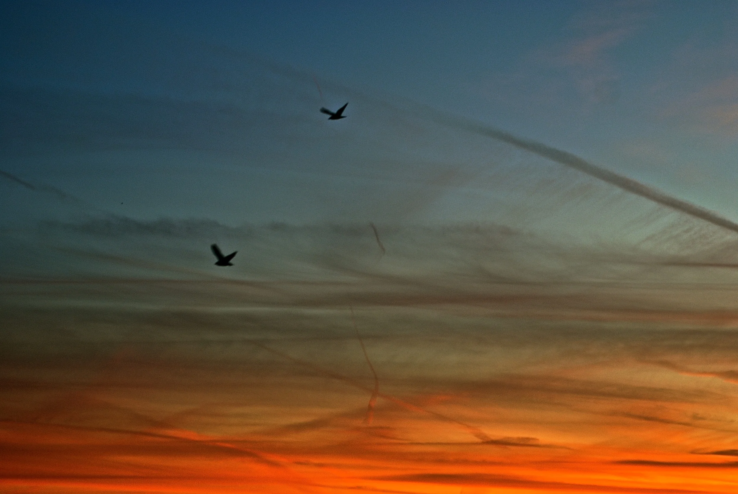 DSC_0152 - Version 2.JPG