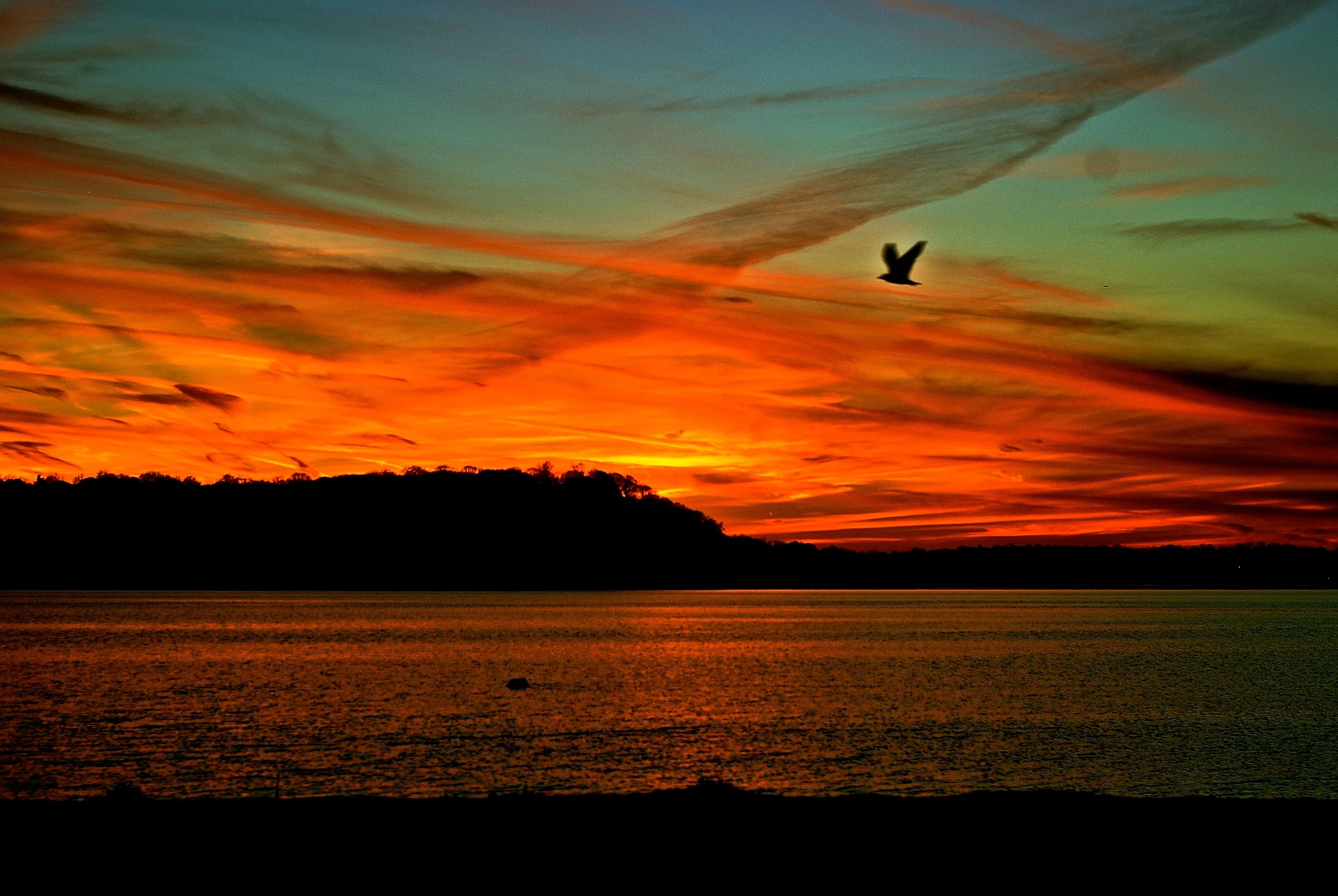 DSC_0147 - Version 2.JPG