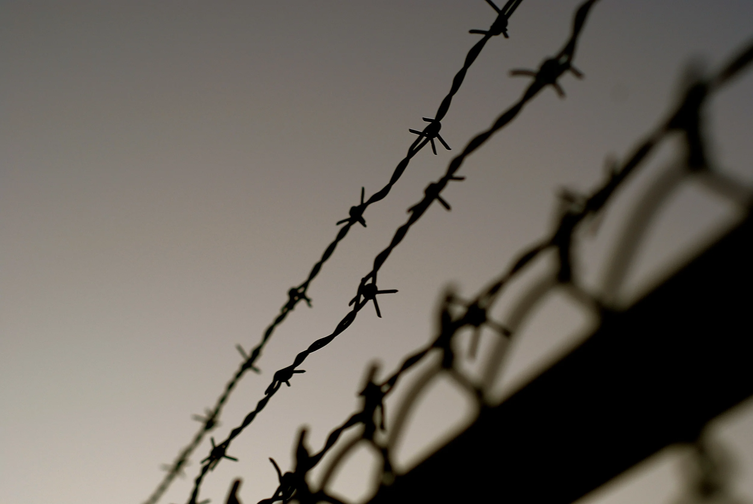 DSC_0589 - Version 2.JPG