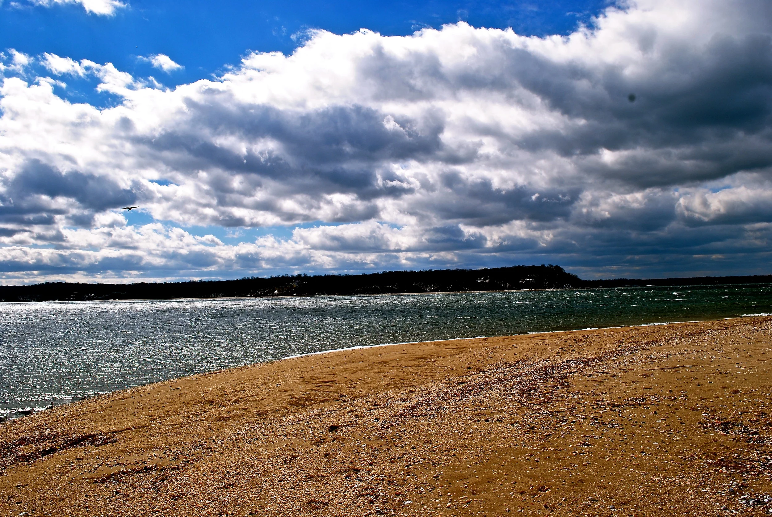 DSC_0555 - Version 2.JPG