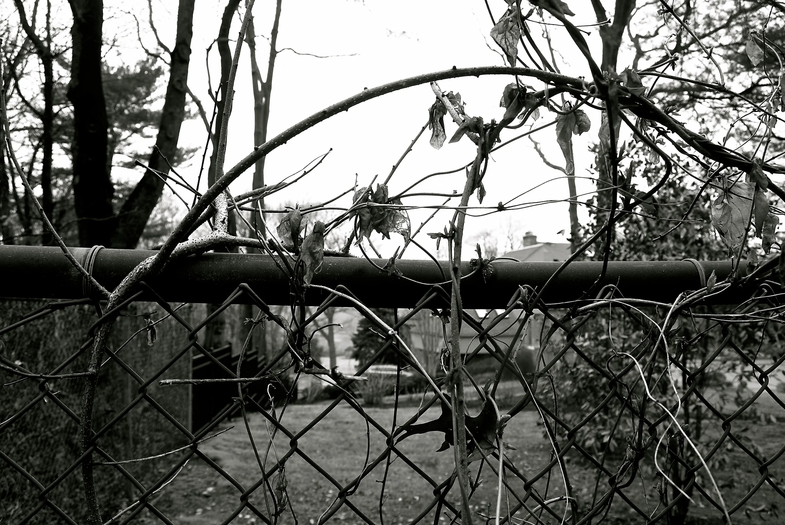 DSC_0992 - Version 2.JPG