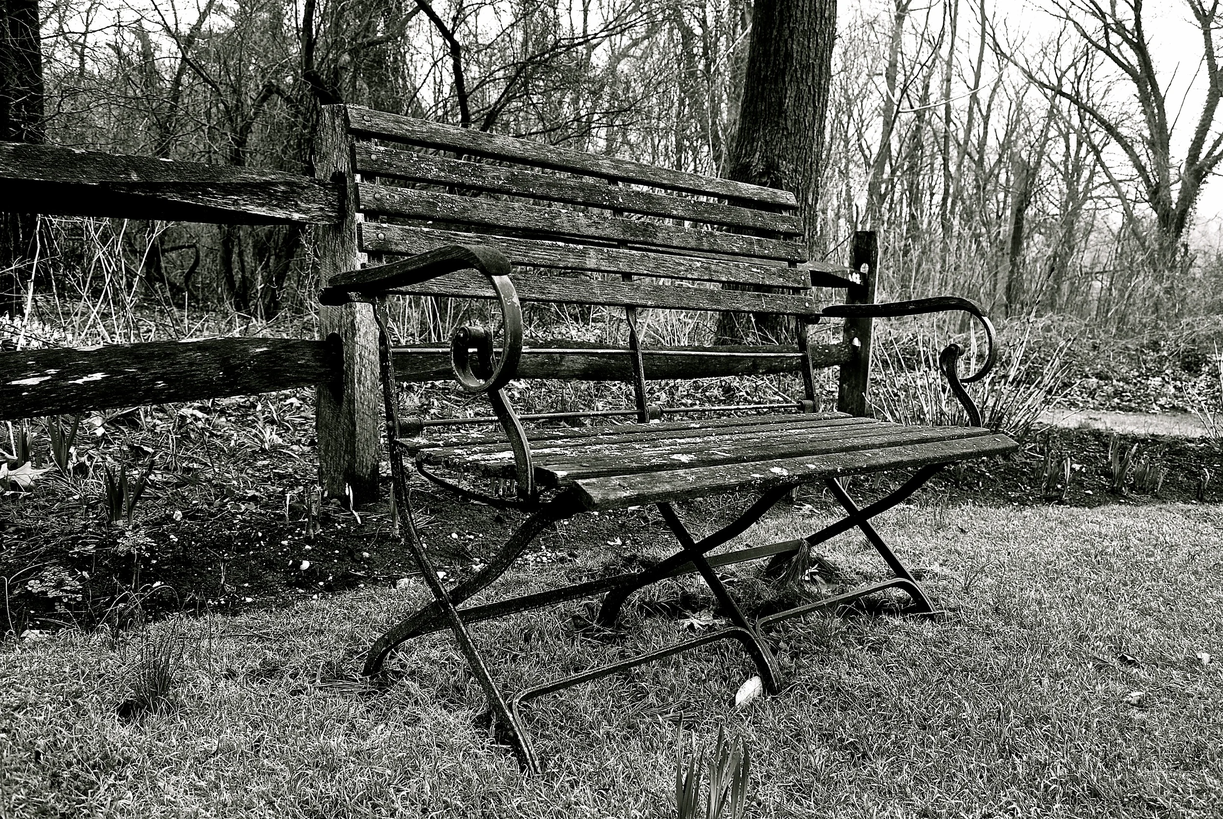 DSC_0995 - Version 2.JPG