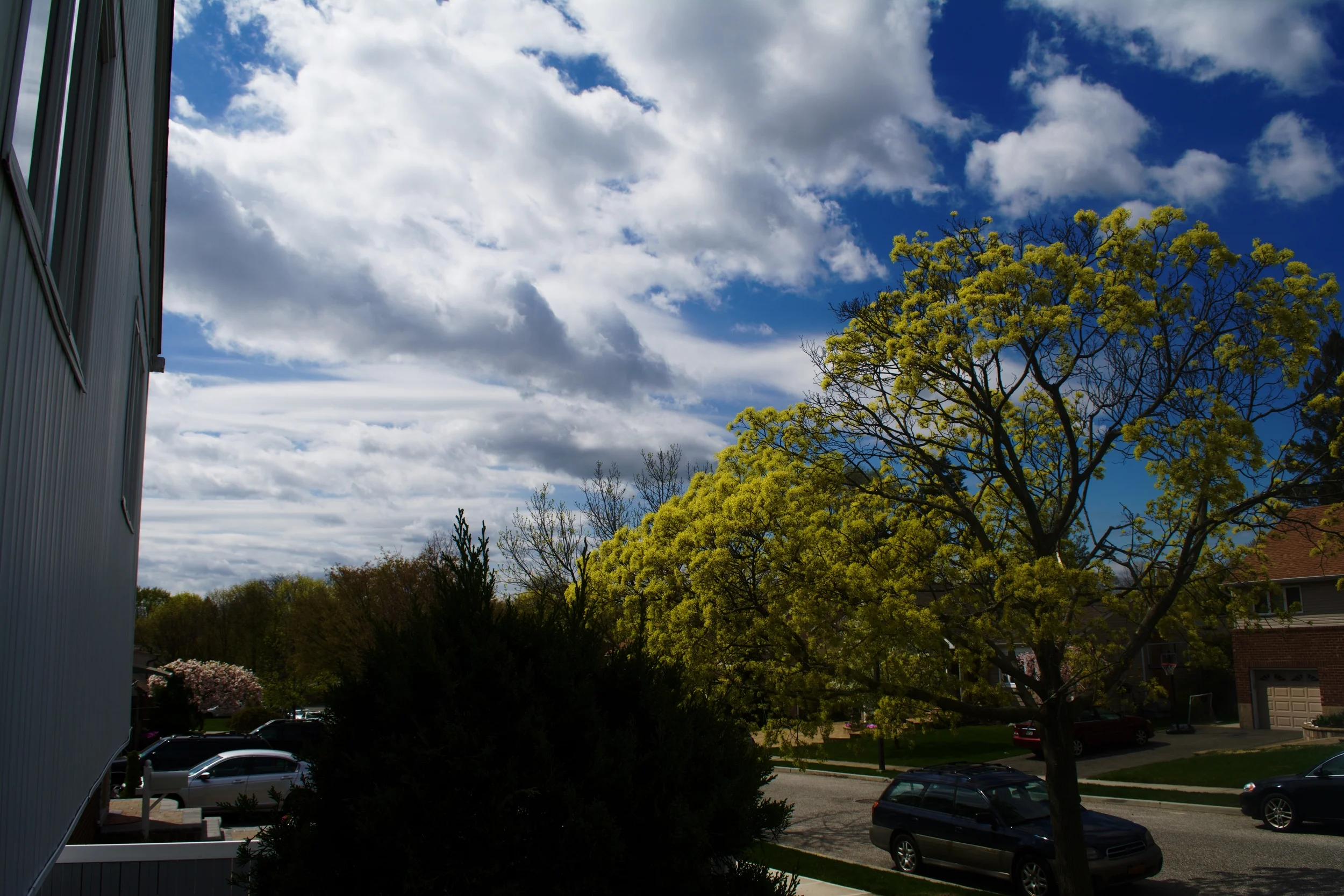DSC_1729.jpg