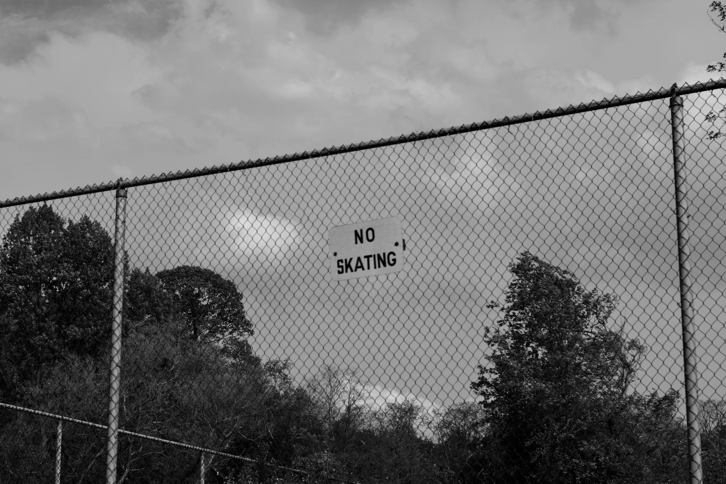 DSC_1966.jpg